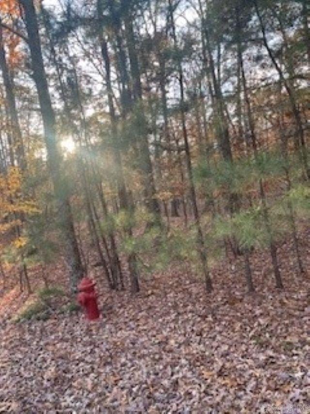 0 Rustic Hills Trail  Hot Springs, AR