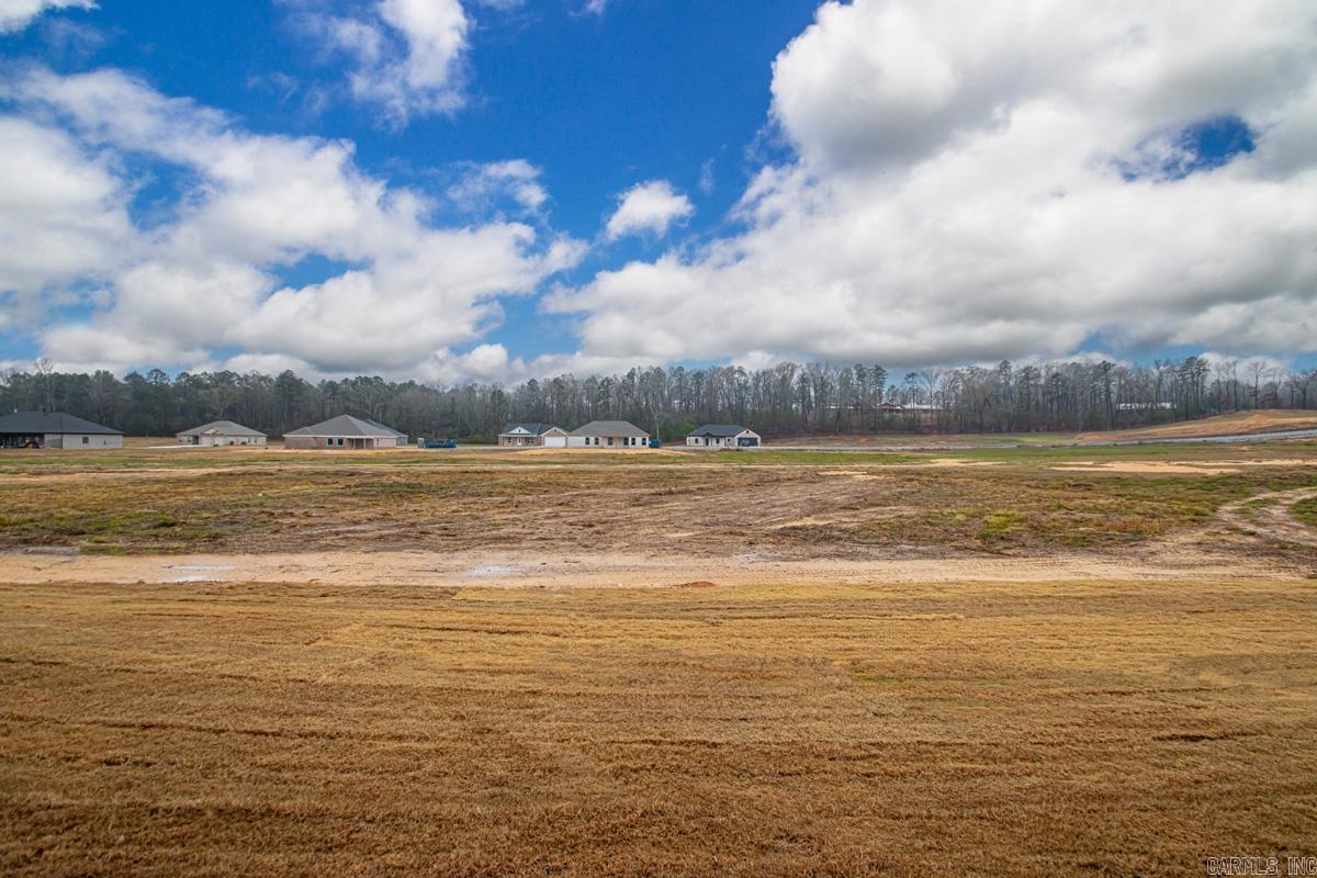 1033 Duke Drive Bauxite, AR 72011