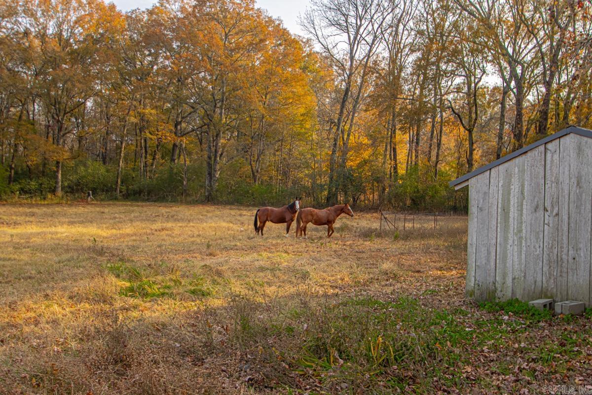 211 Liles Rd  Ward, AR