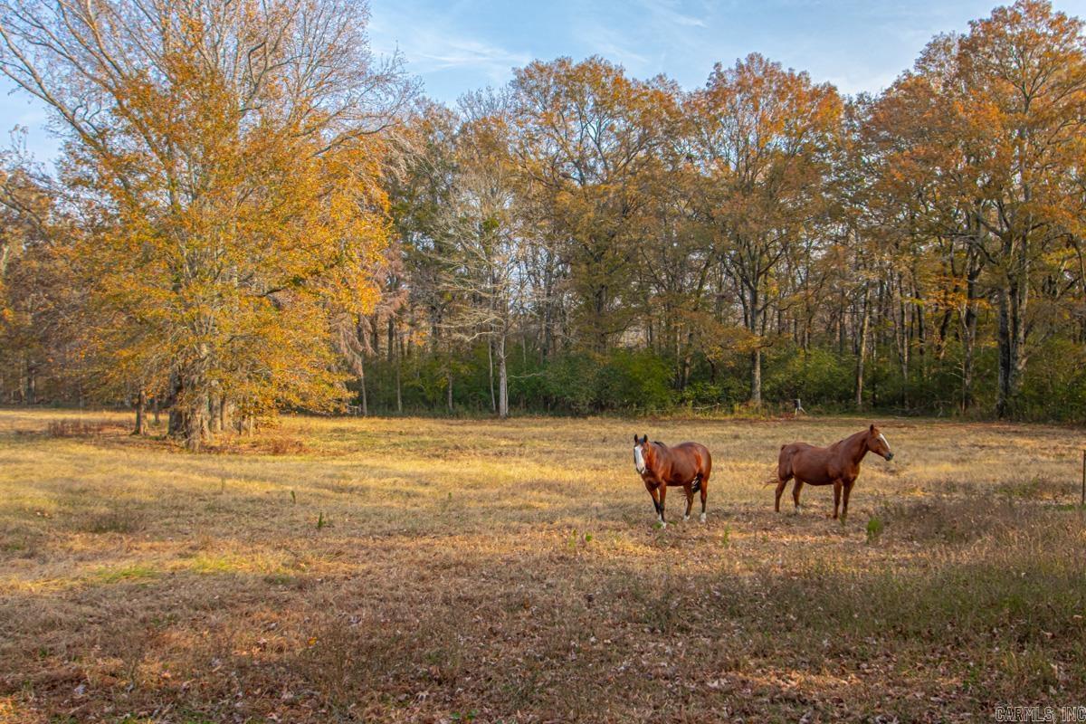 211 Liles Rd  Ward, AR