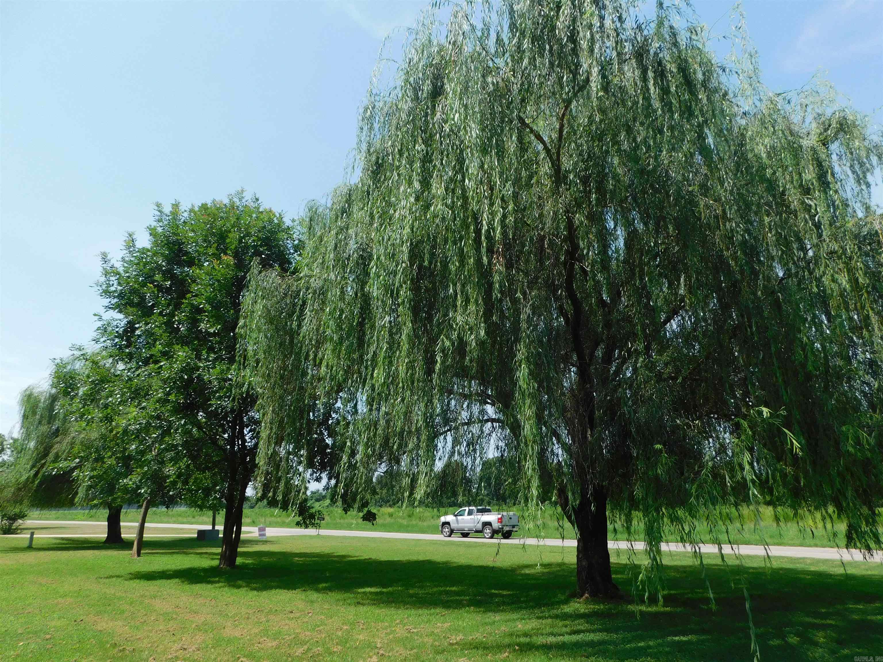 3209 Riviera Drive White Hall, AR 71602-0000