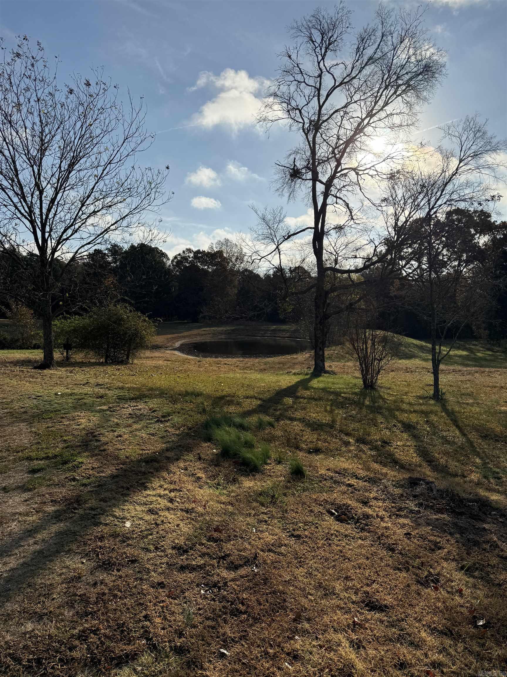 48 Condray Lane Quitman, AR 72131