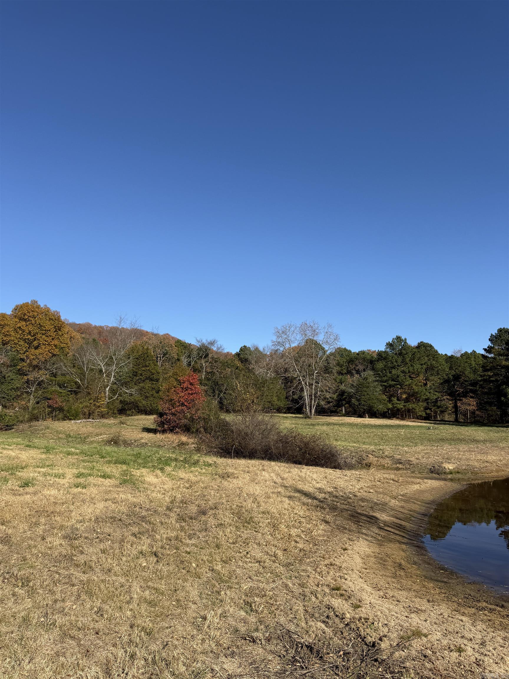 48 Condray Lane Quitman, AR 72131