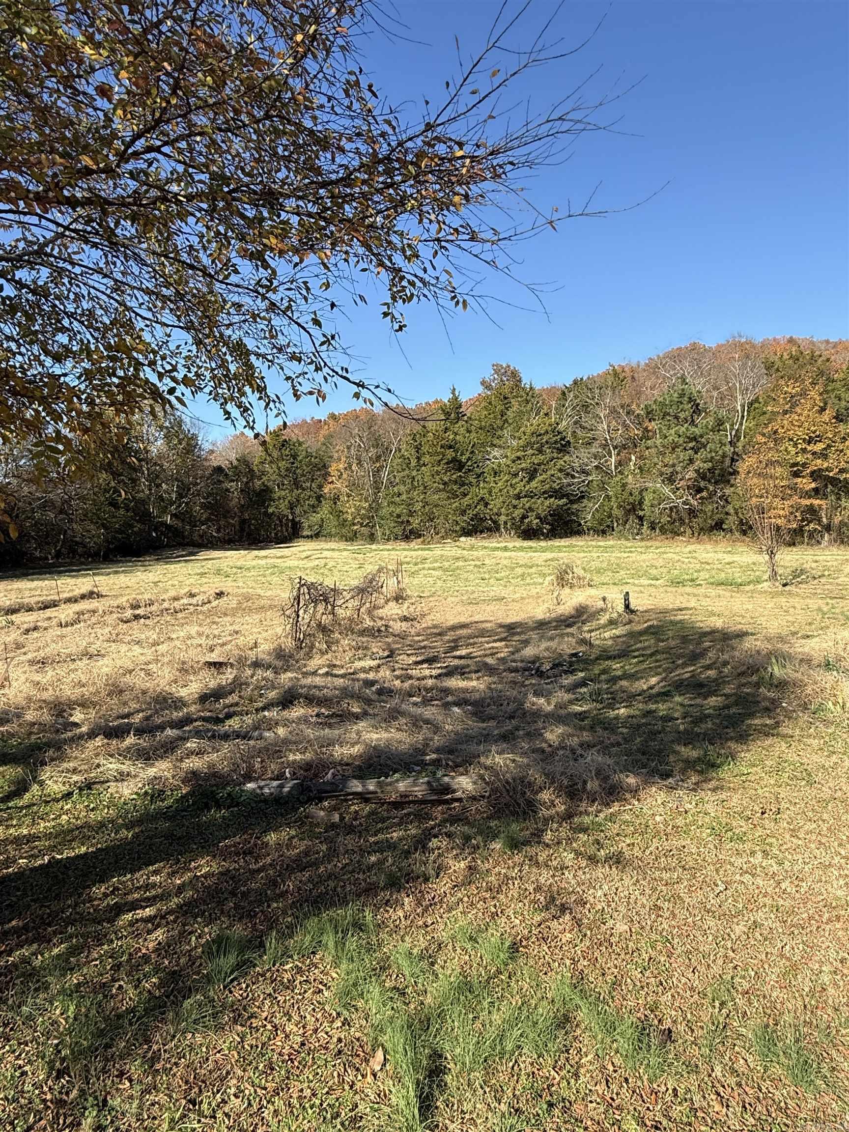 48 Condray Lane Quitman, AR 72131