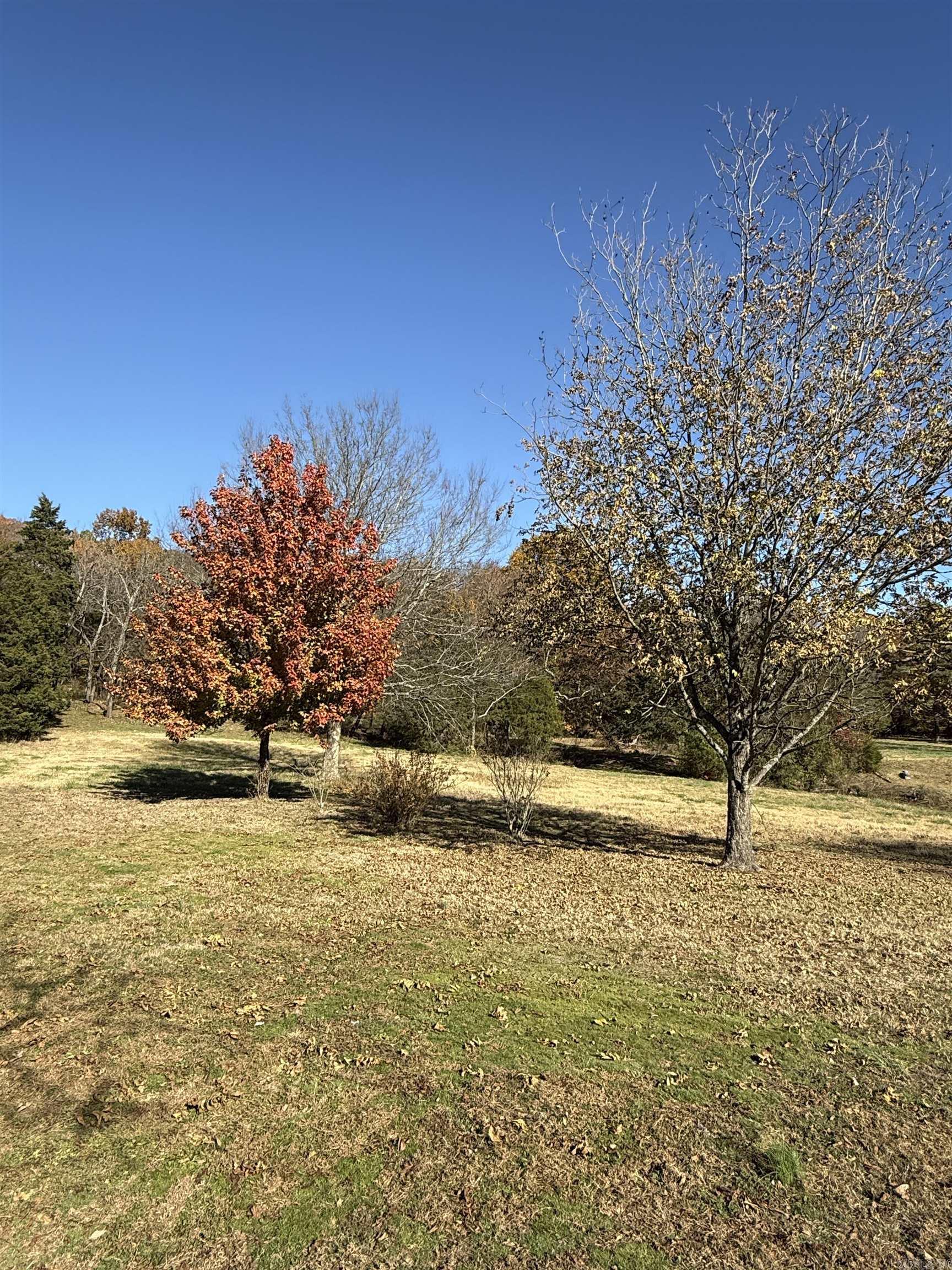 48 Condray Lane Quitman, AR 72131