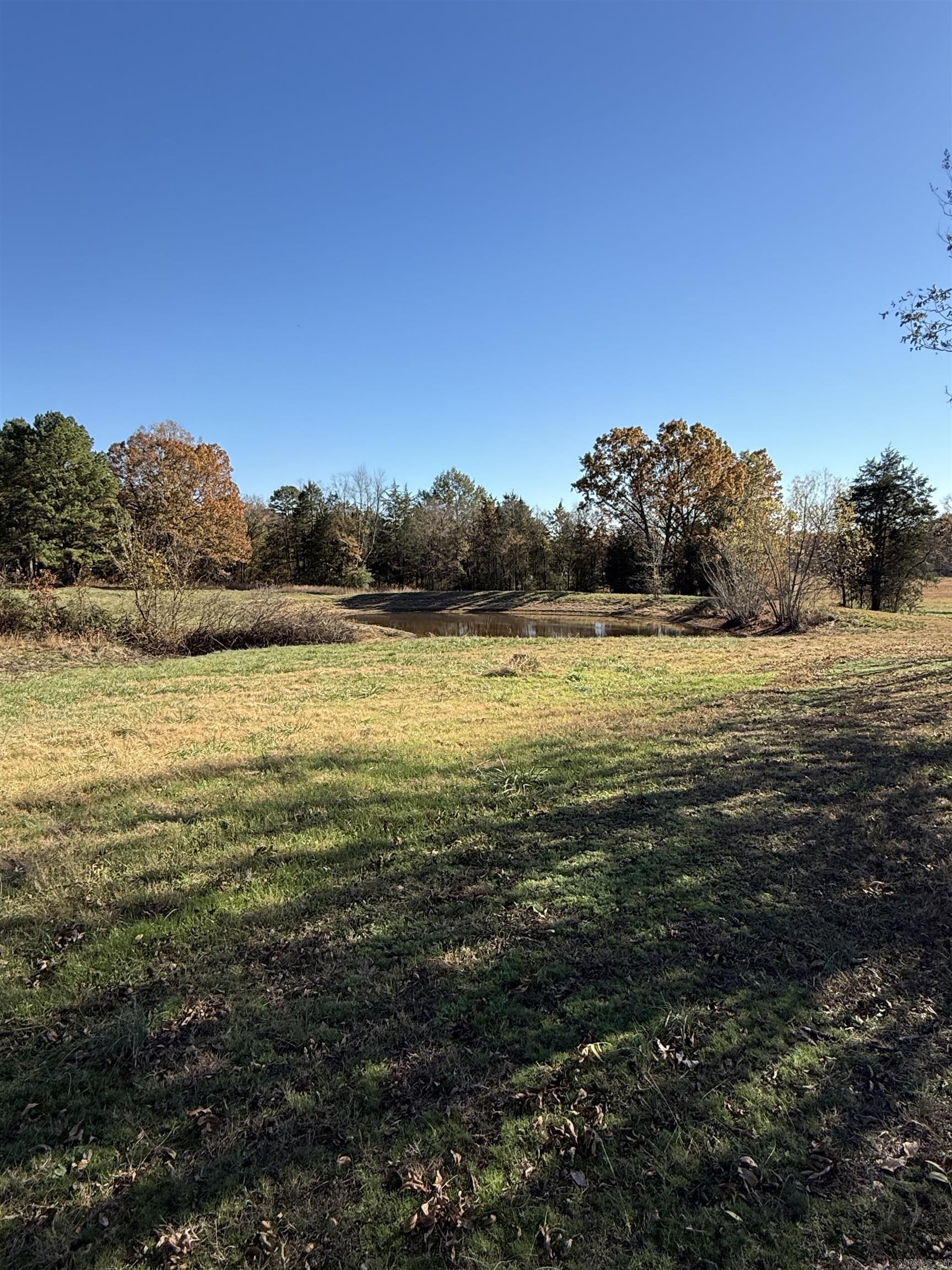 48 Condray Lane Quitman, AR 72131