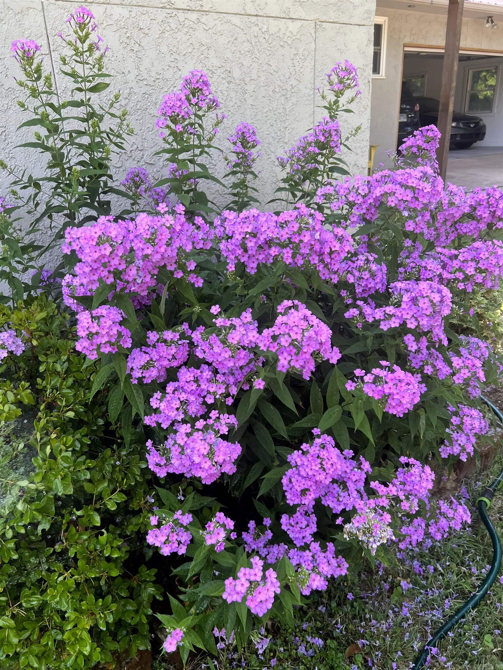 1809 Mayflower  Bentonville, AR