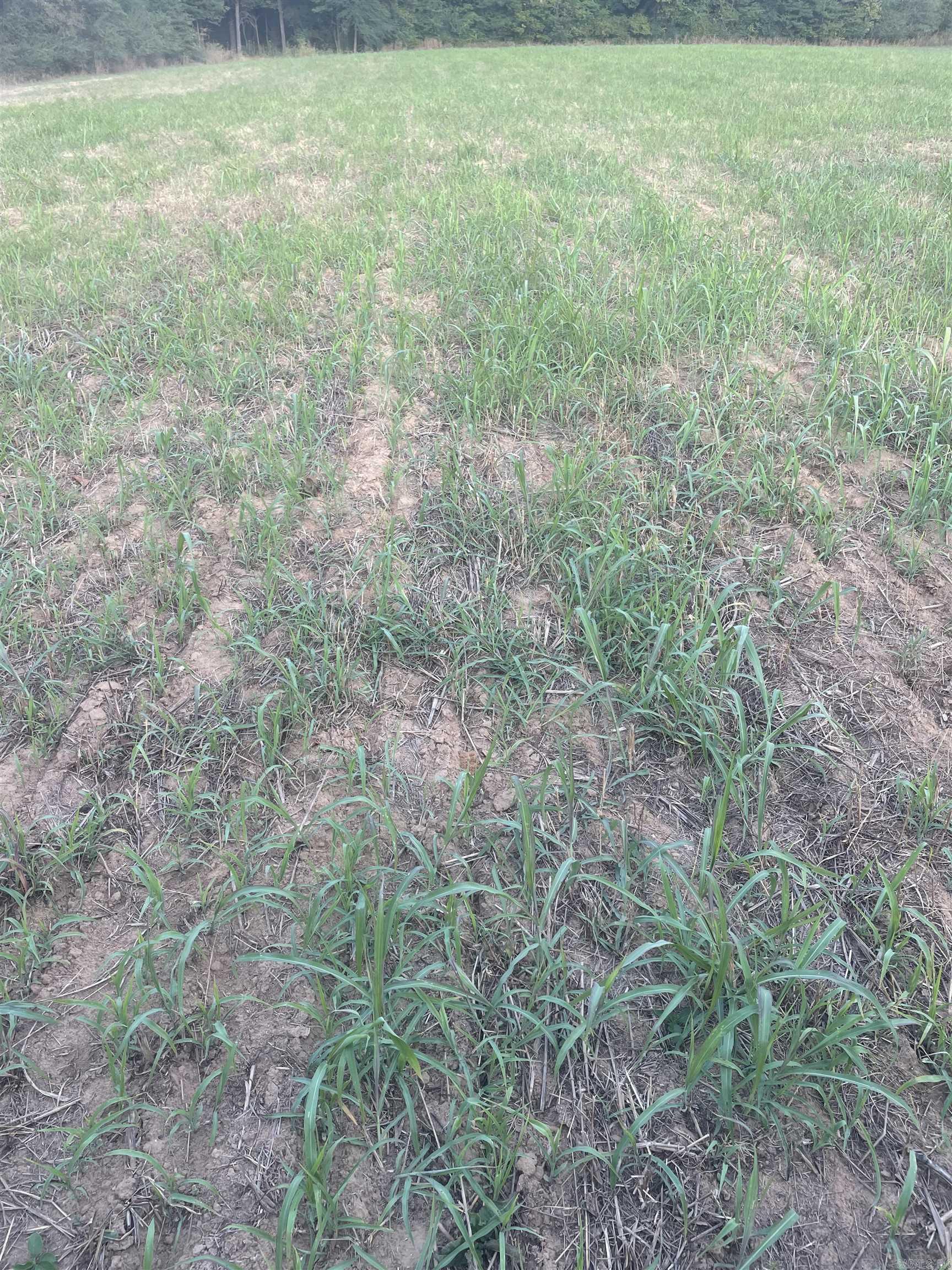 000 Crypress Lake  Beebe, AR