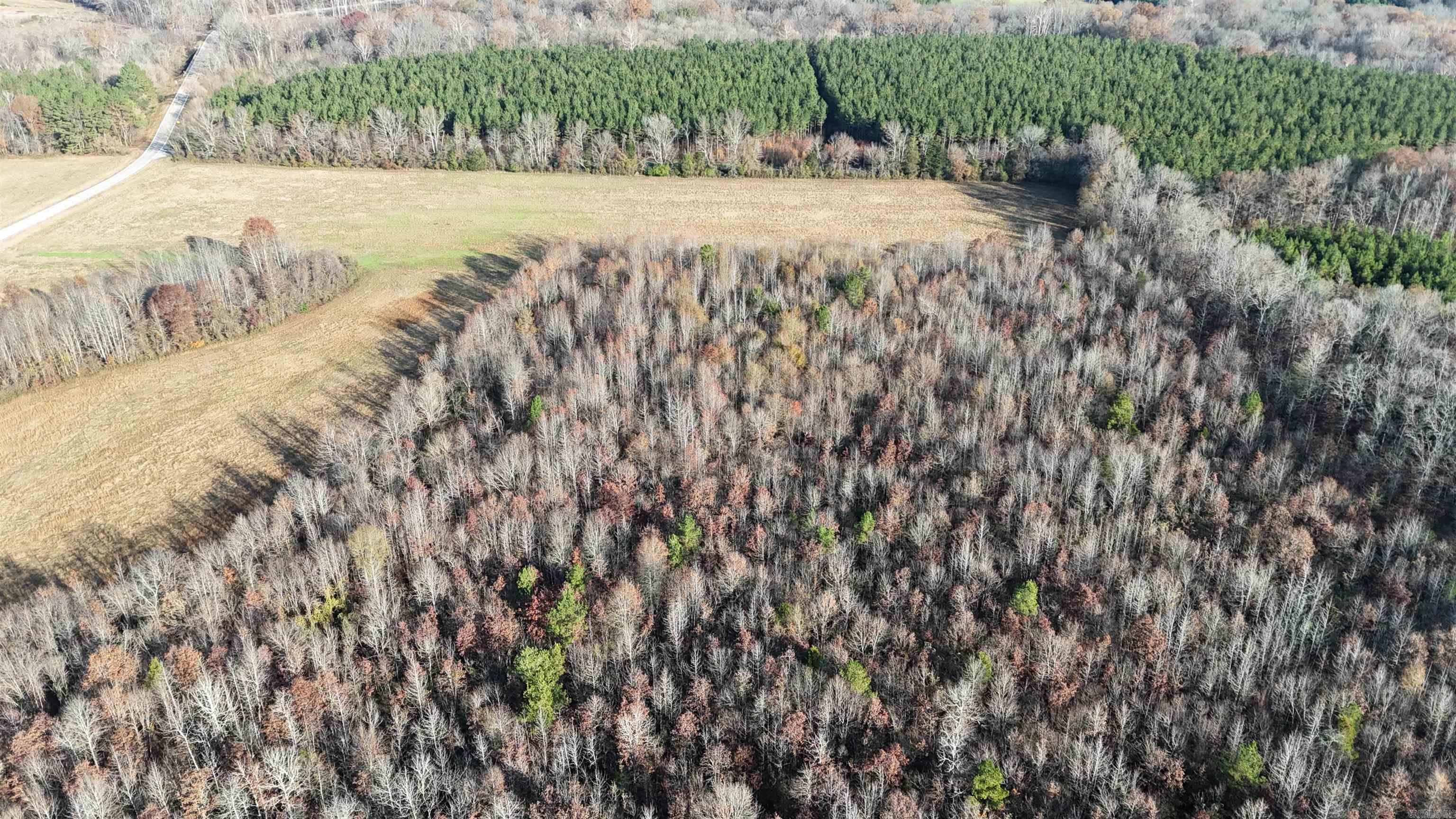 00 Highway 124  Cleveland, AR