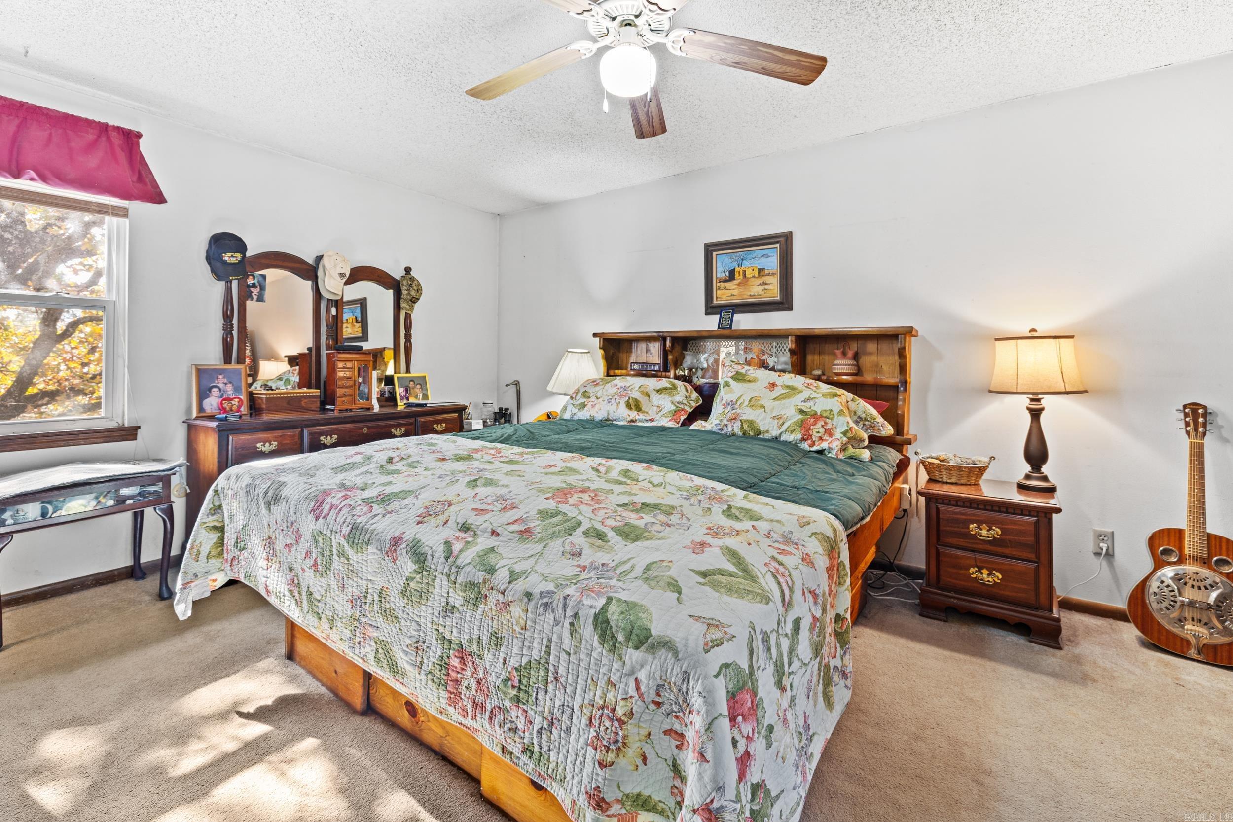 10619 Panther Mountain Road North Little Rock, AR 72113-9199