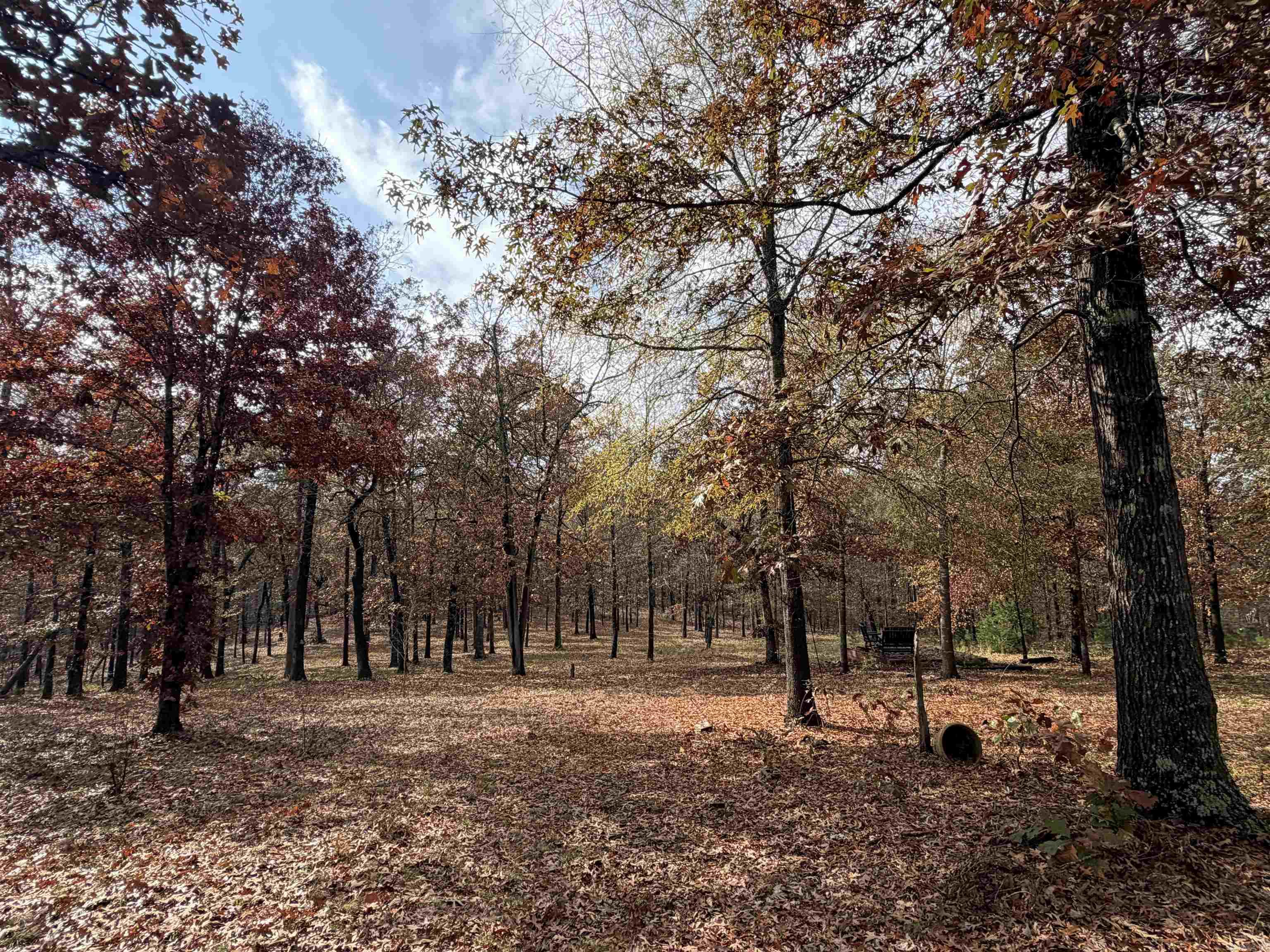 110 Shady Thicket  Little Rock, AR