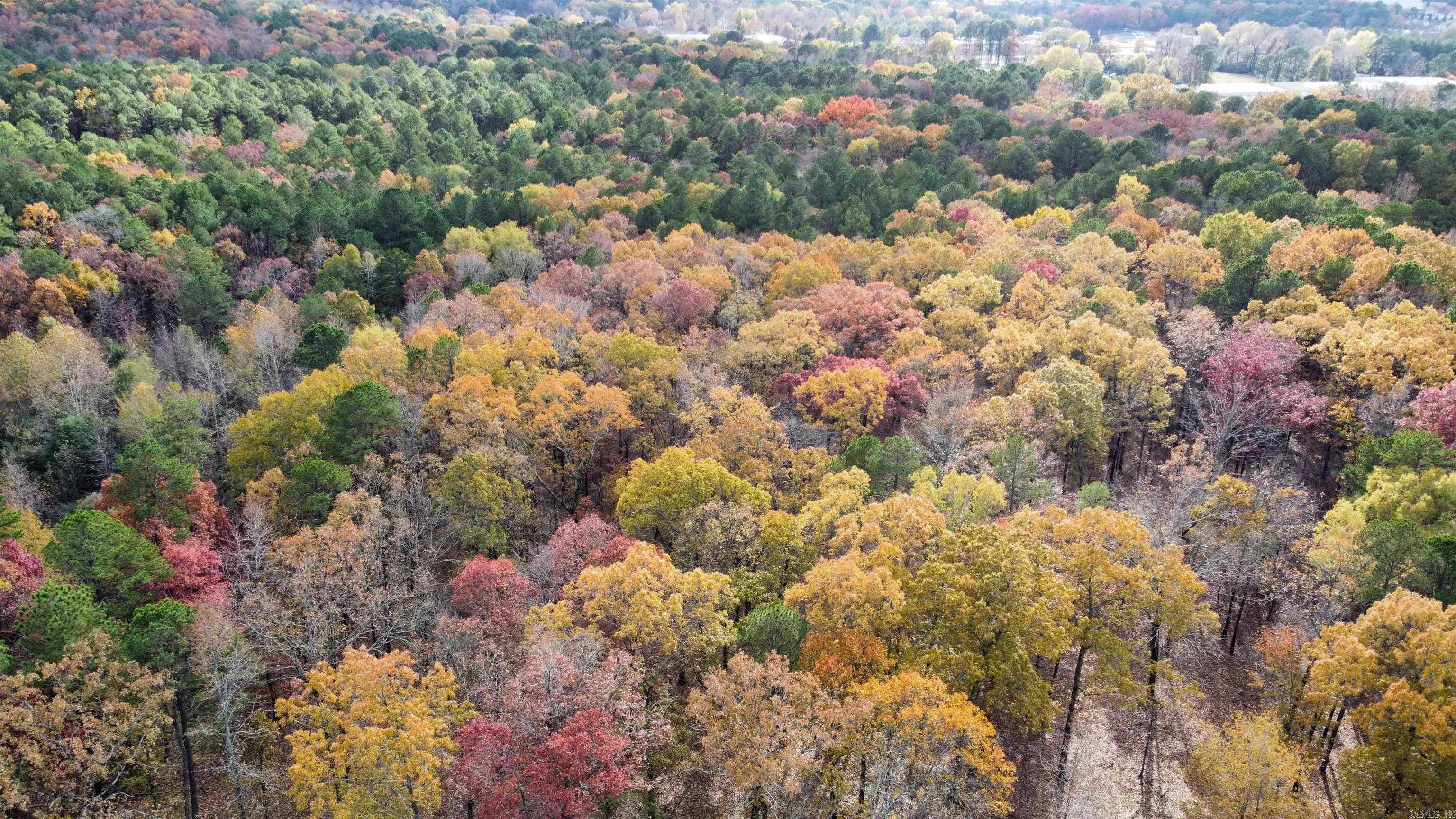 110 Shady Thicket  Little Rock, AR