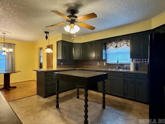 1605 Martin  Pocahontas, AR