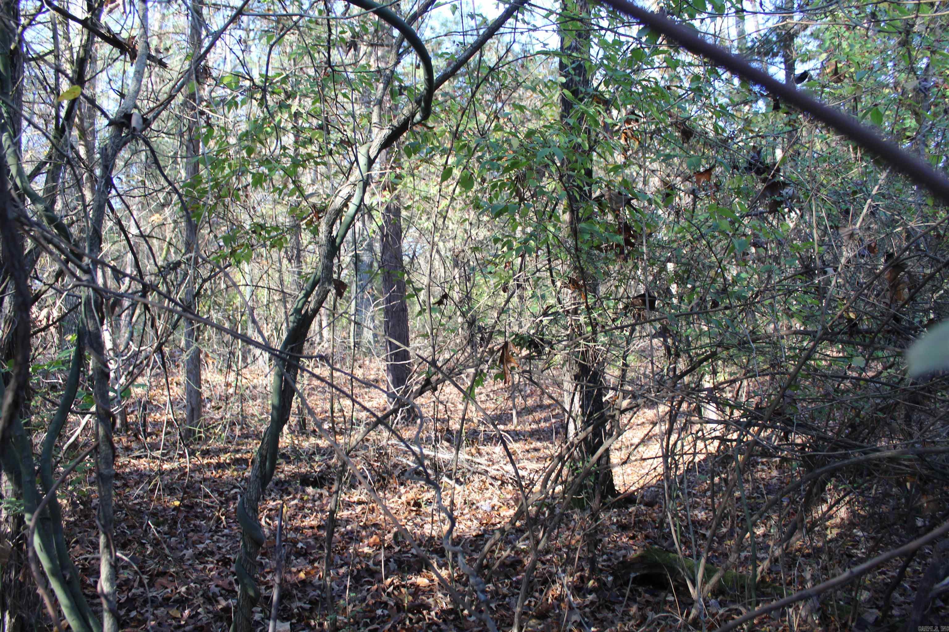 001-04740-000 MC 5045  Yellville, AR