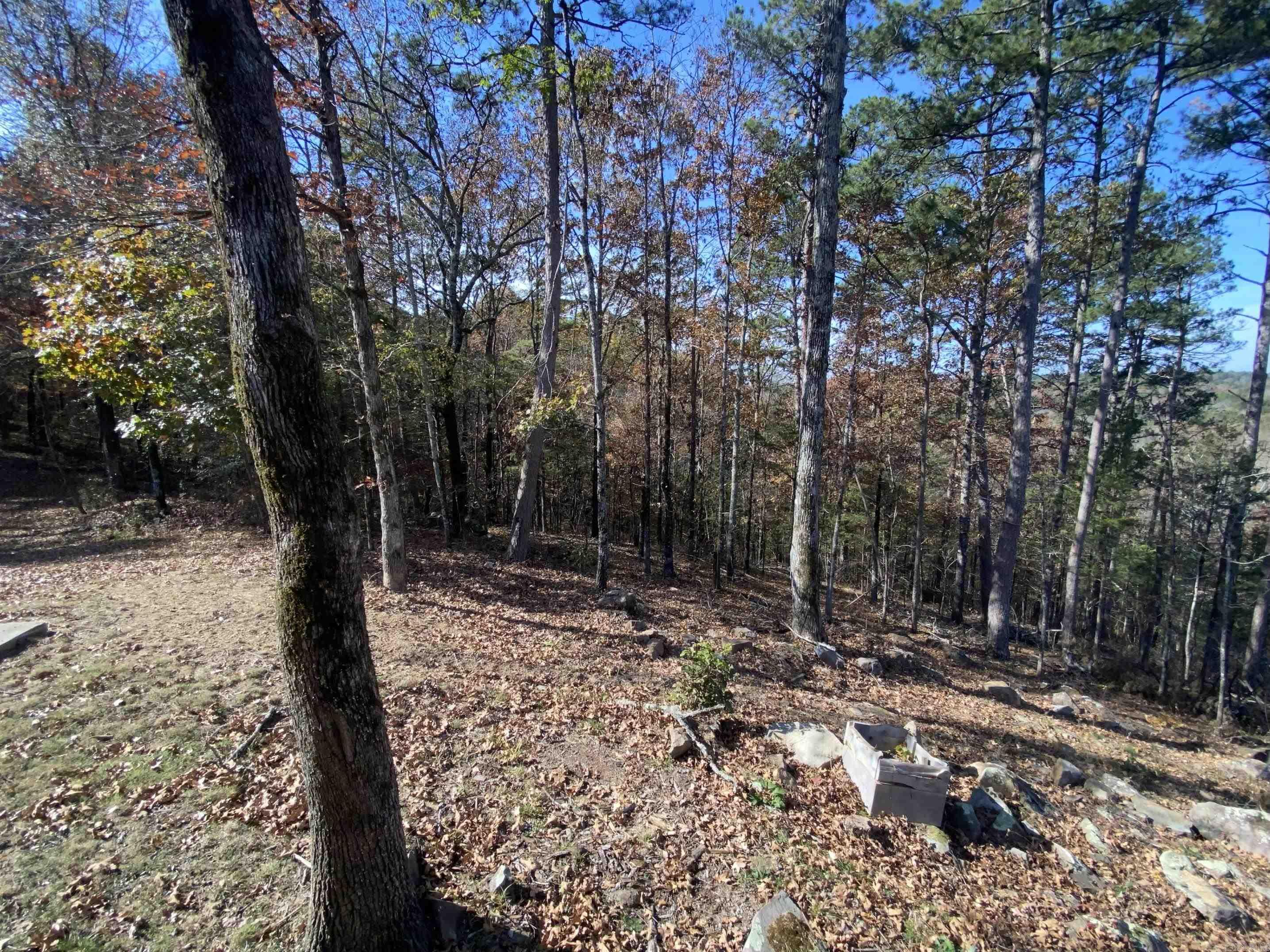 375 Batesville Mountain  Damascus, AR