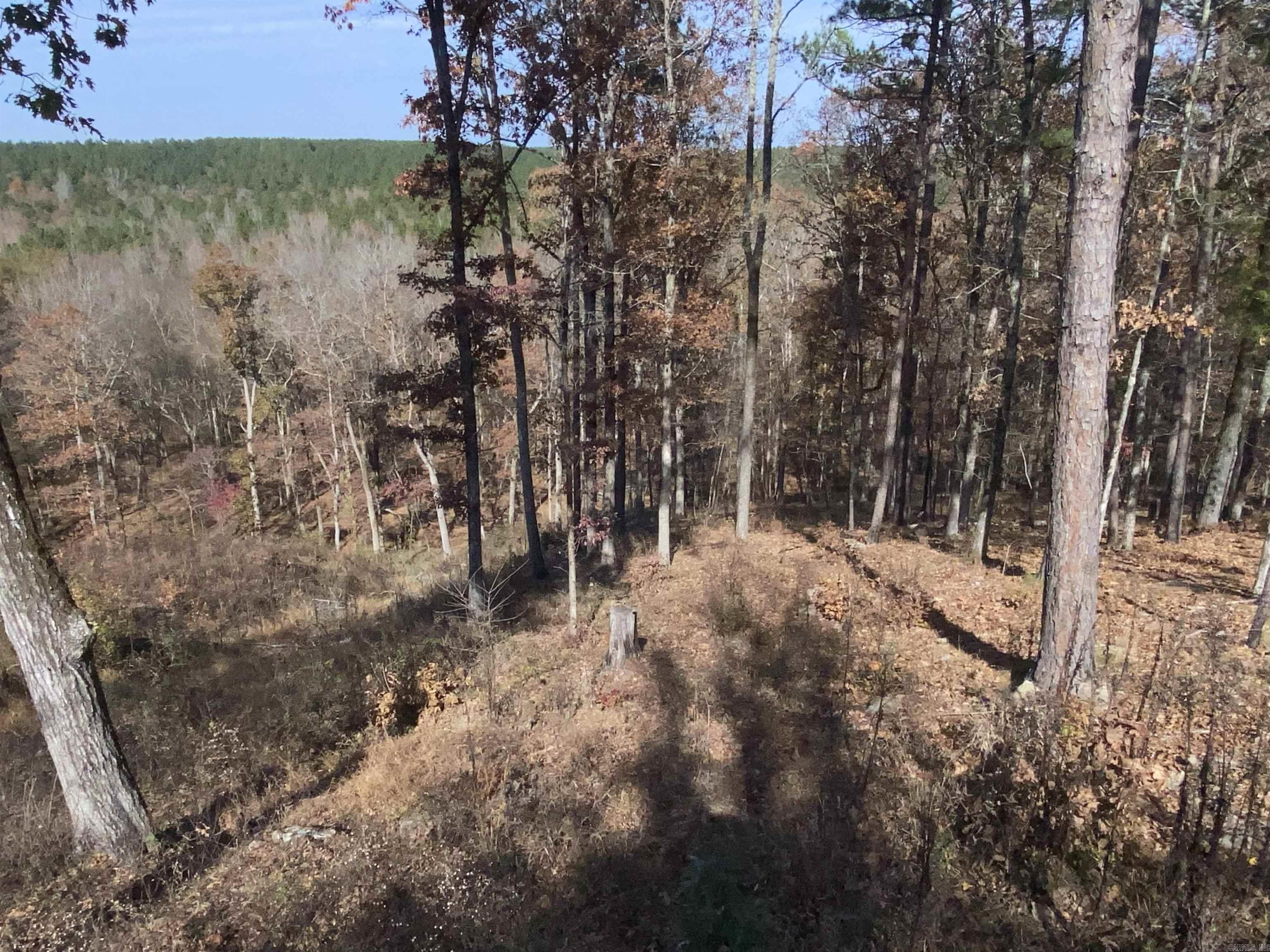 375 Batesville Mountain  Damascus, AR