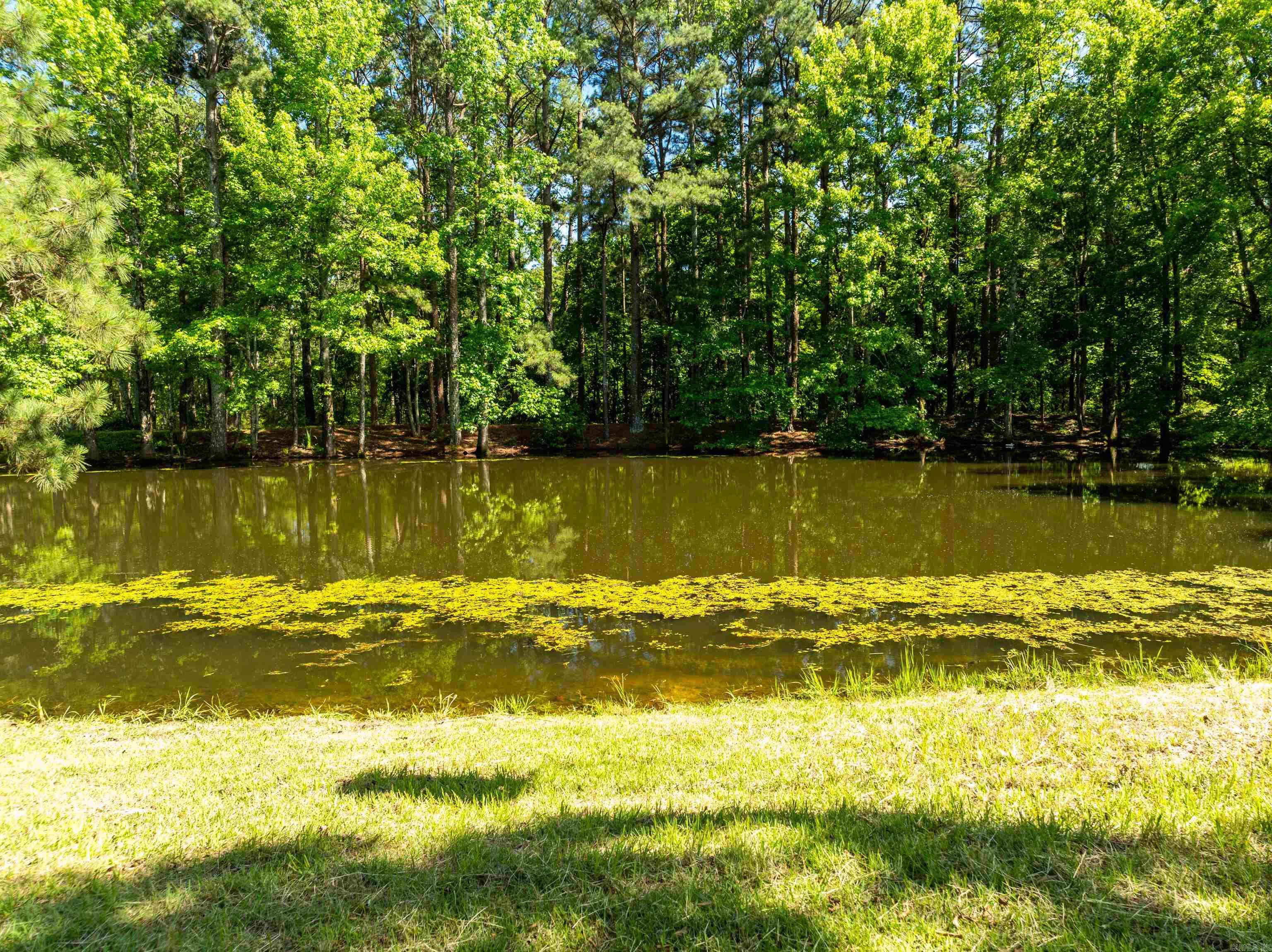 124 Primrose  Pearcy, AR