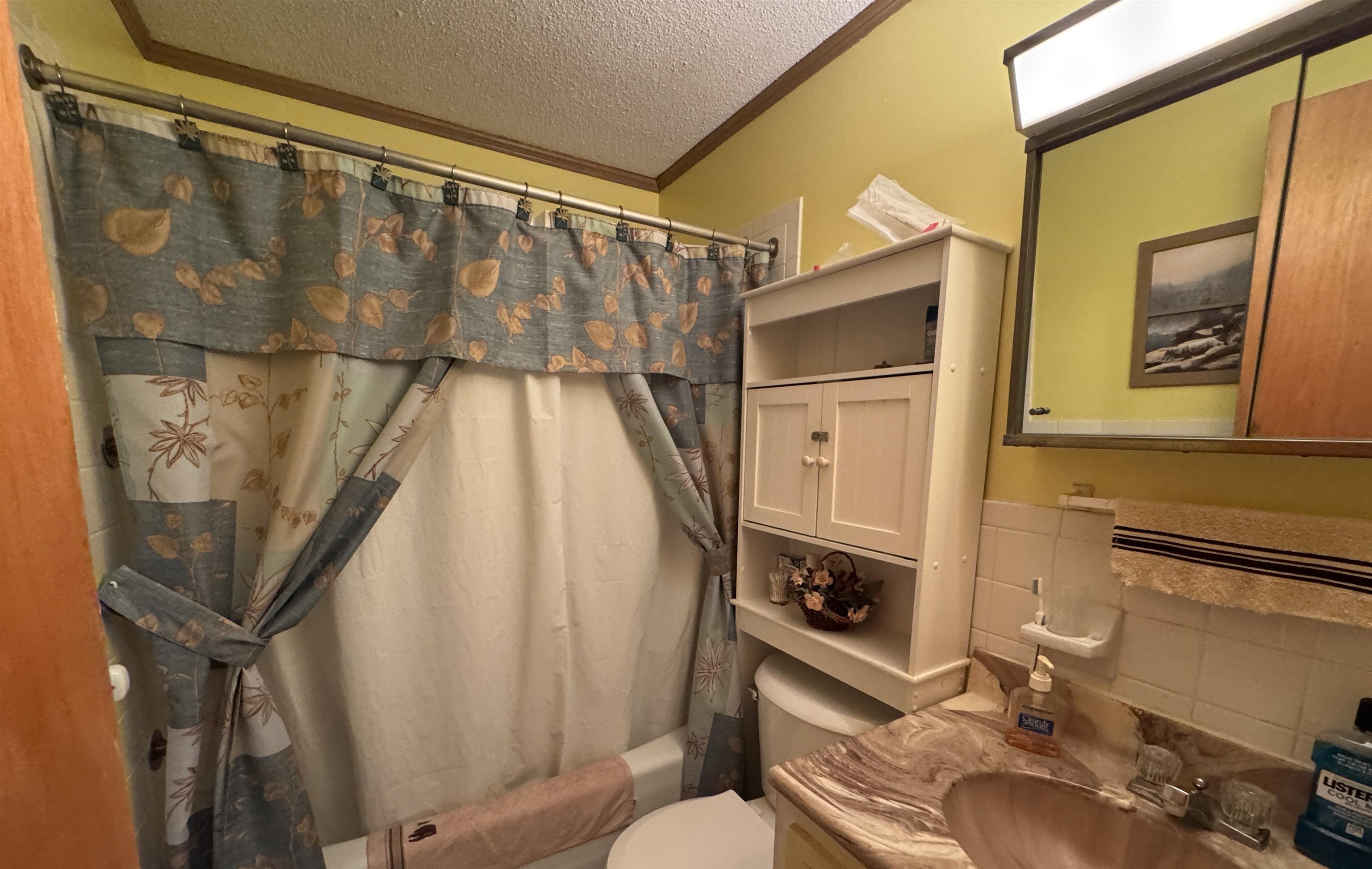 410 N Cheyenne Drive  Horseshoe Bend, AR