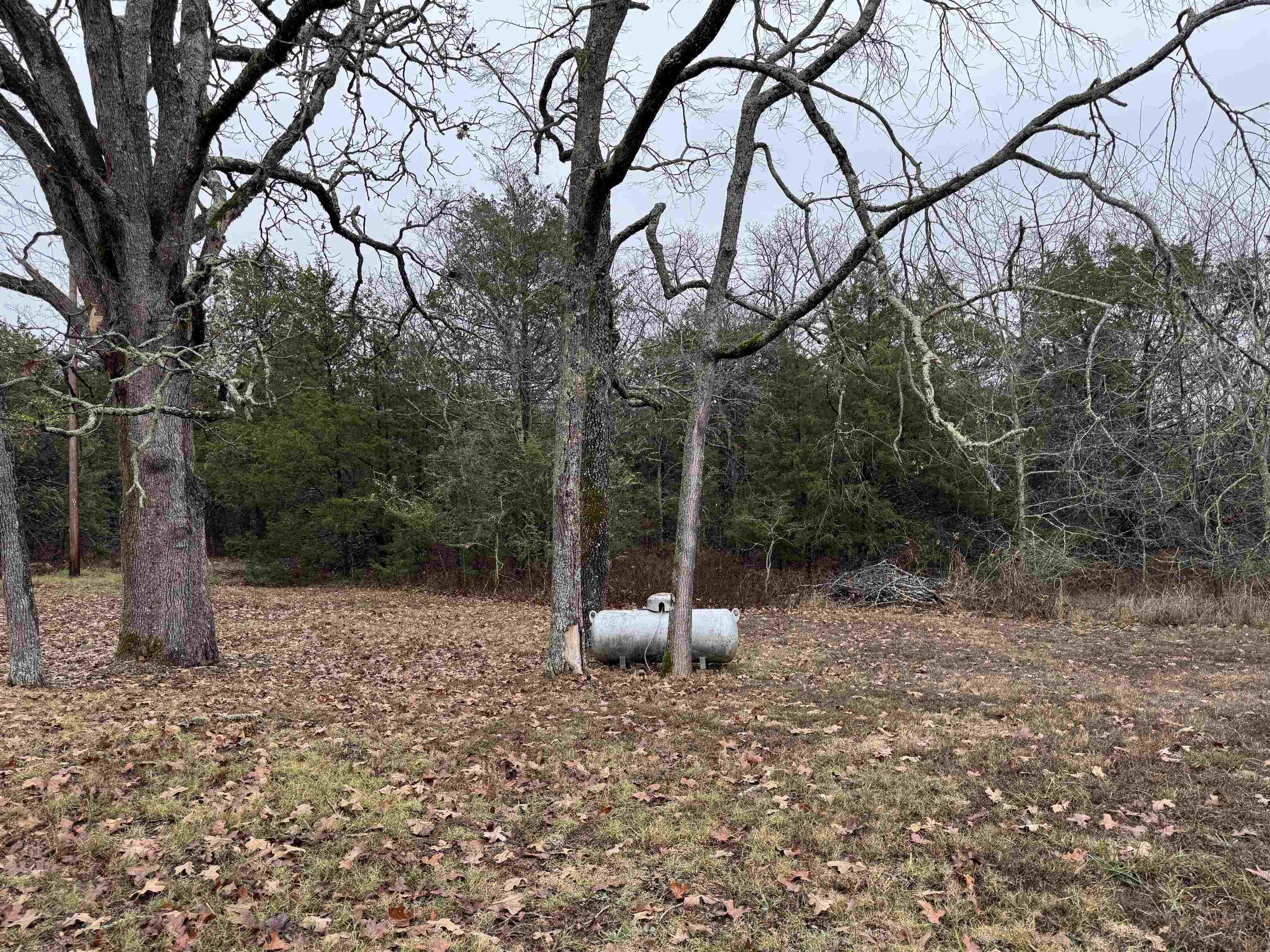 410 N Cheyenne Drive  Horseshoe Bend, AR