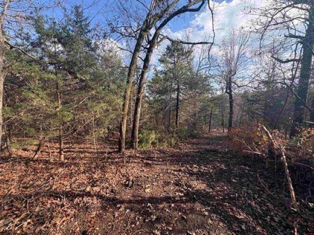 Tract B Hwy 101  Gamaliel, AR