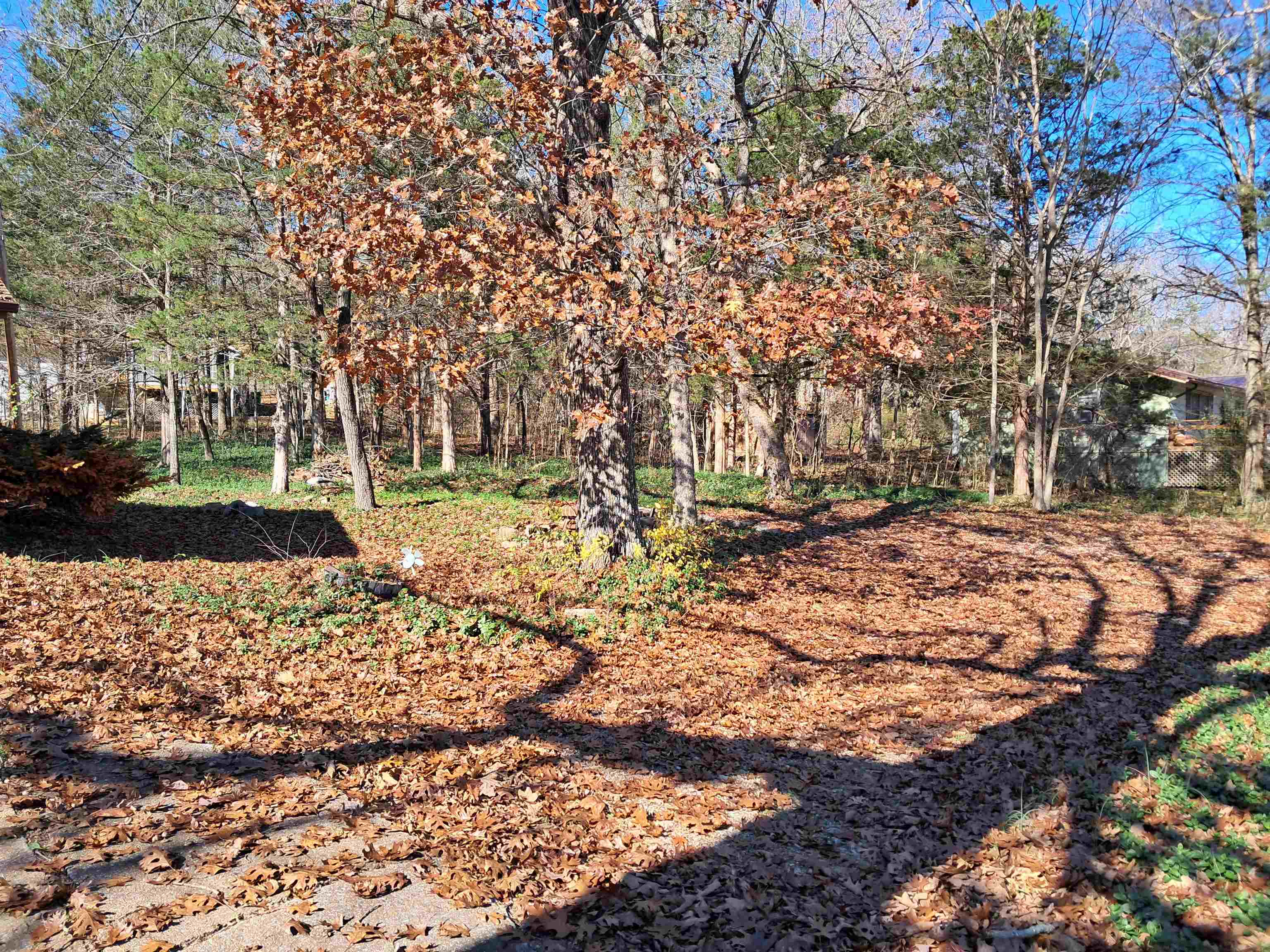 35 Cherokee  Cherokee Village, AR