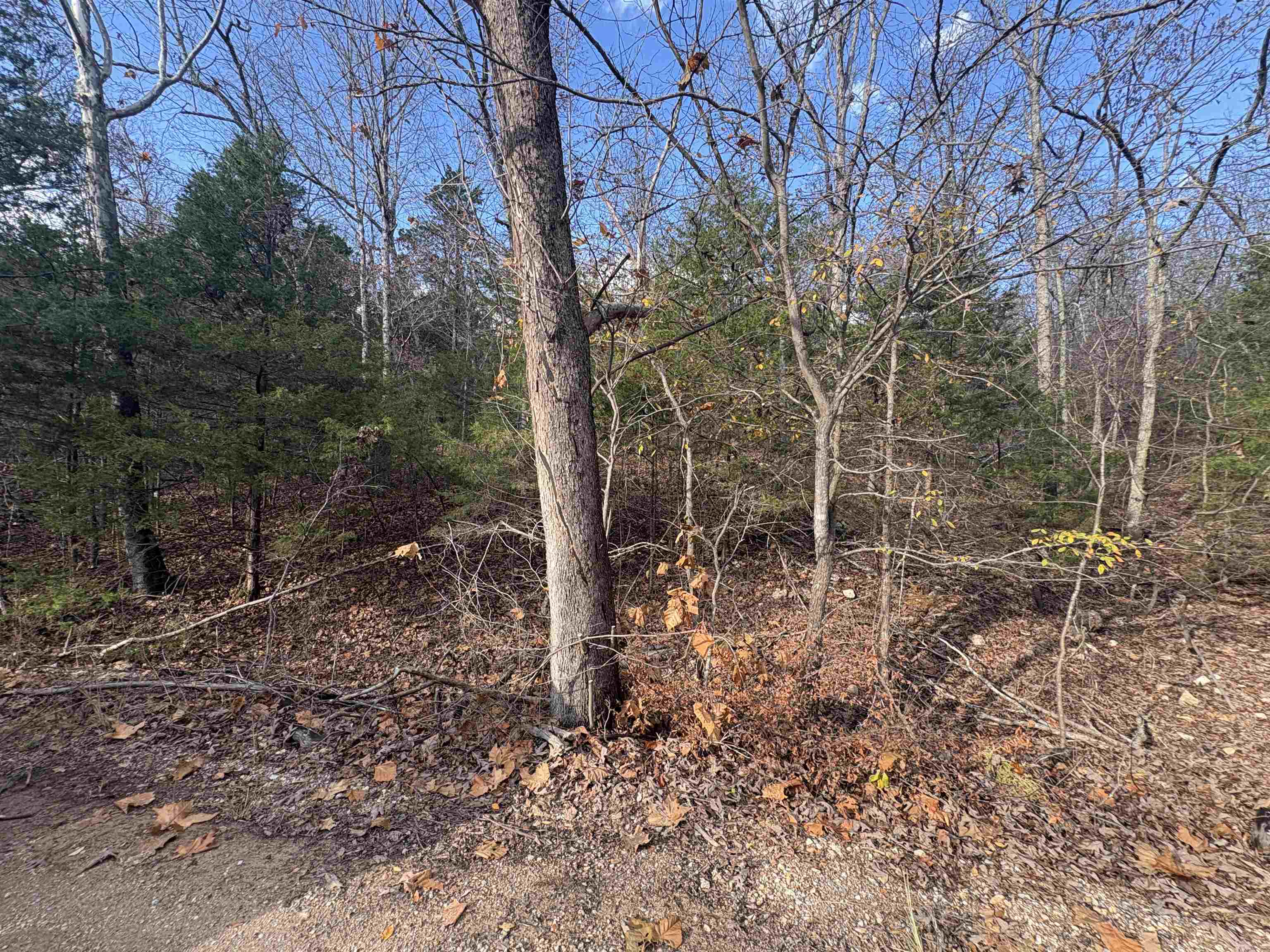 Tract D Crystal Oaks Trail