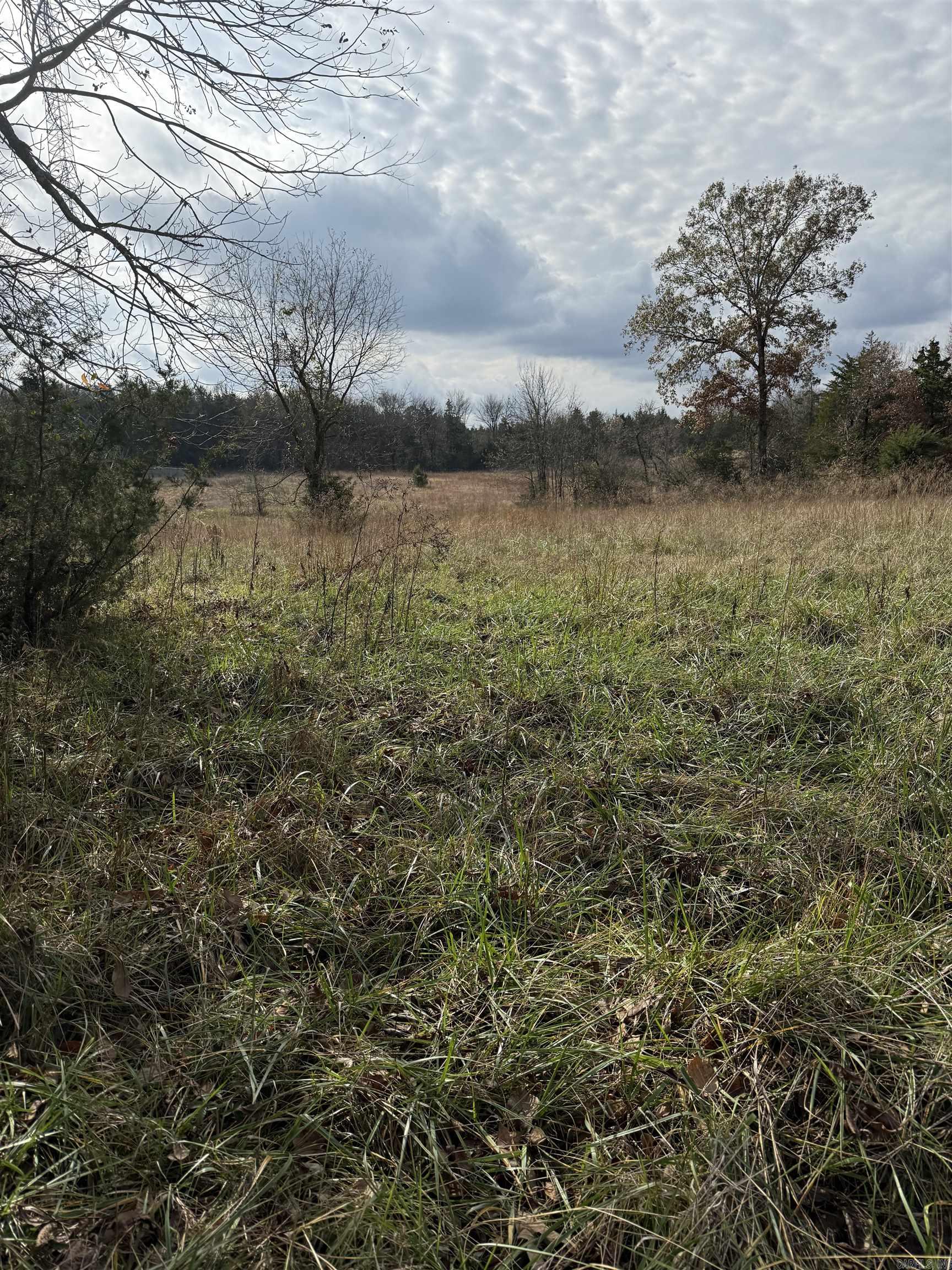 55 Kilts Road Okolona, AR 71962