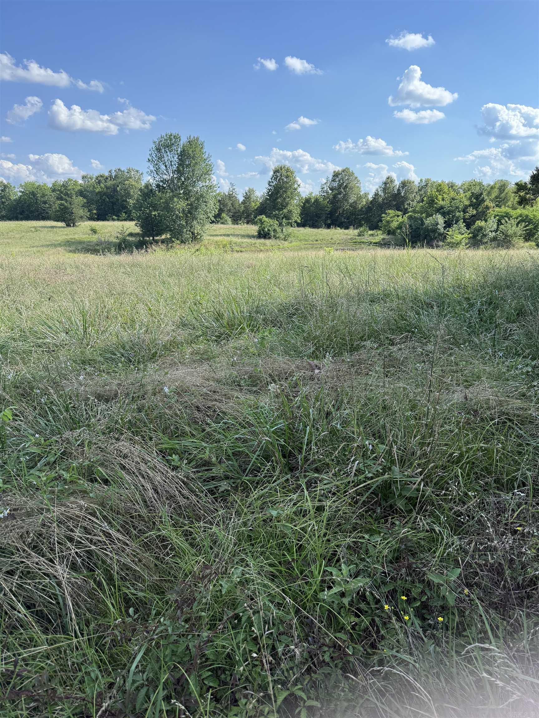 55 Kilts Road Okolona, AR 71962