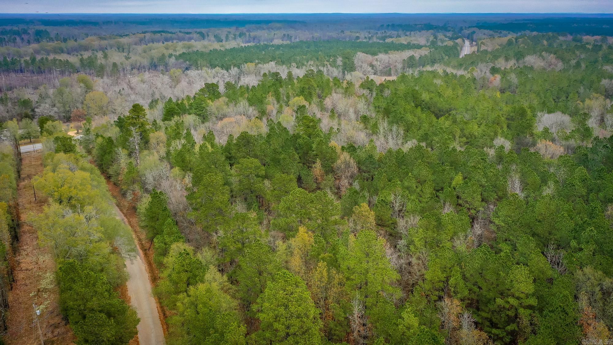  Hwy 24 East, 76 acres  Prescott, AR