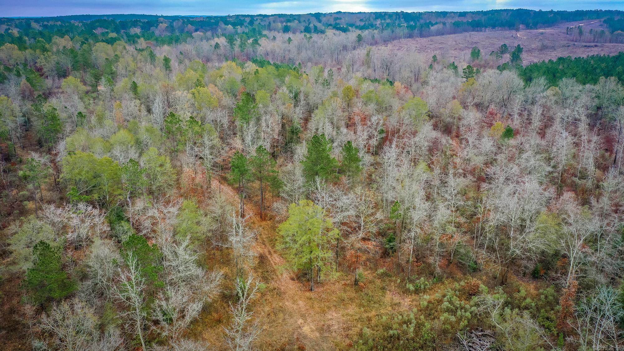  Hwy 24 East, 76 acres  Prescott, AR