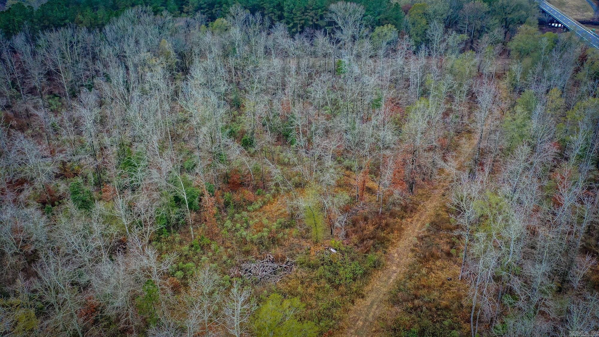  Hwy 24 East, 76 acres  Prescott, AR