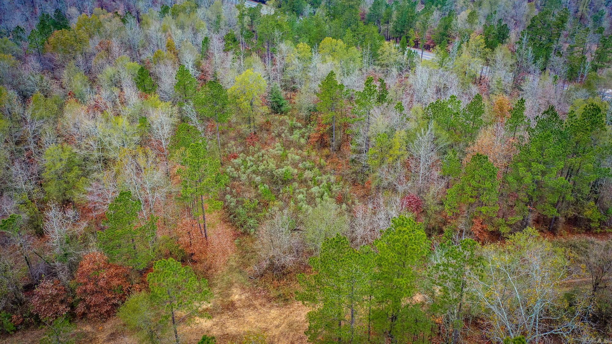  Hwy 24 East, 76 acres  Prescott, AR