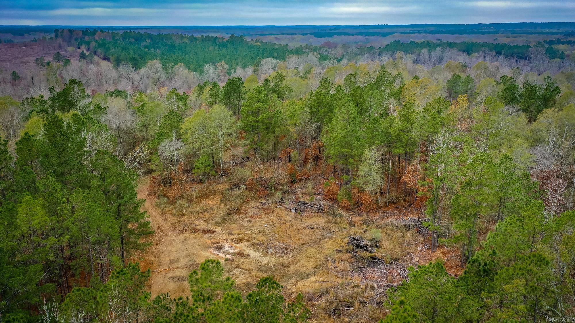  Hwy 24 East, 76 acres  Prescott, AR