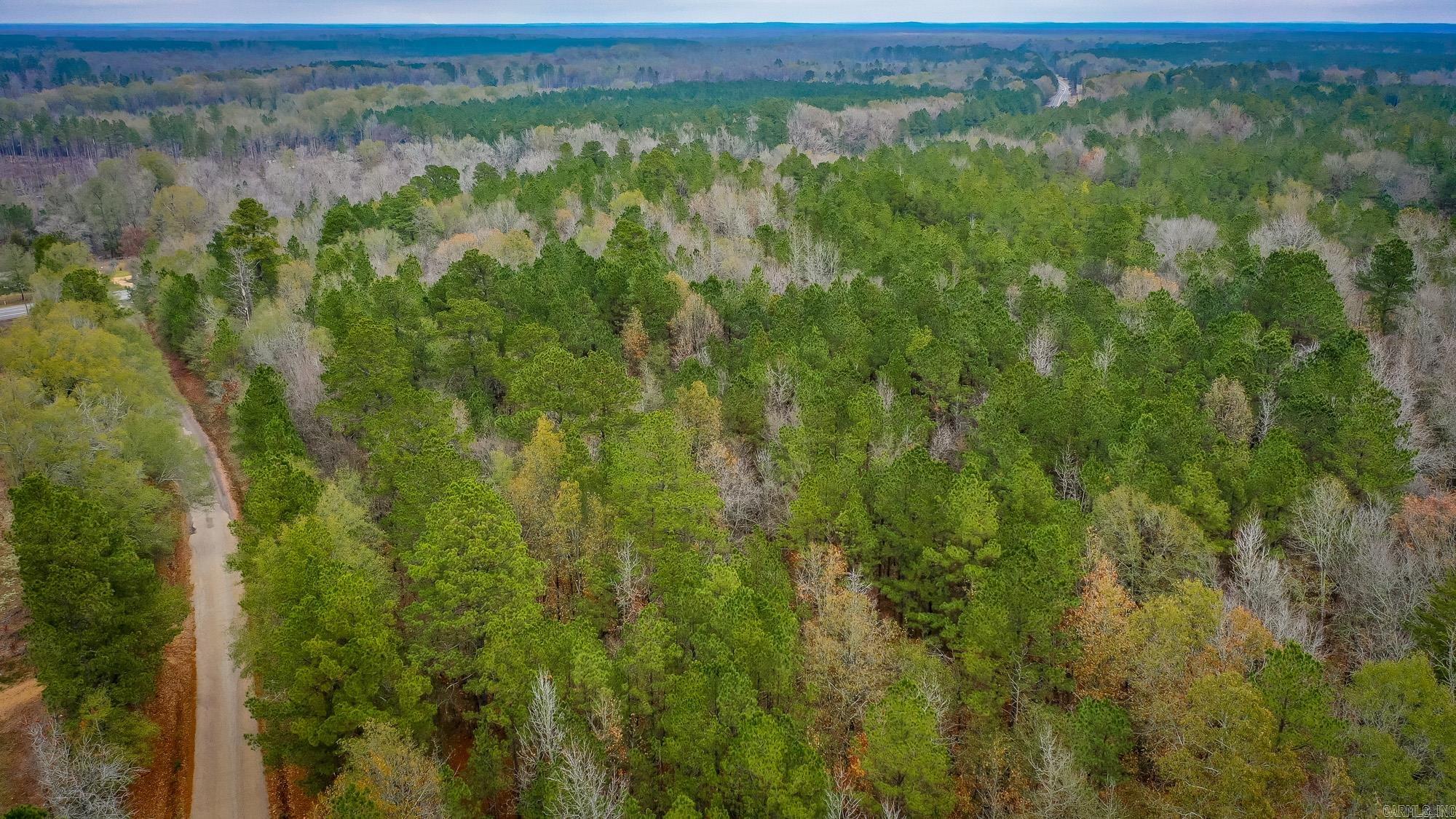  Hwy 24 East, 76 acres  Prescott, AR