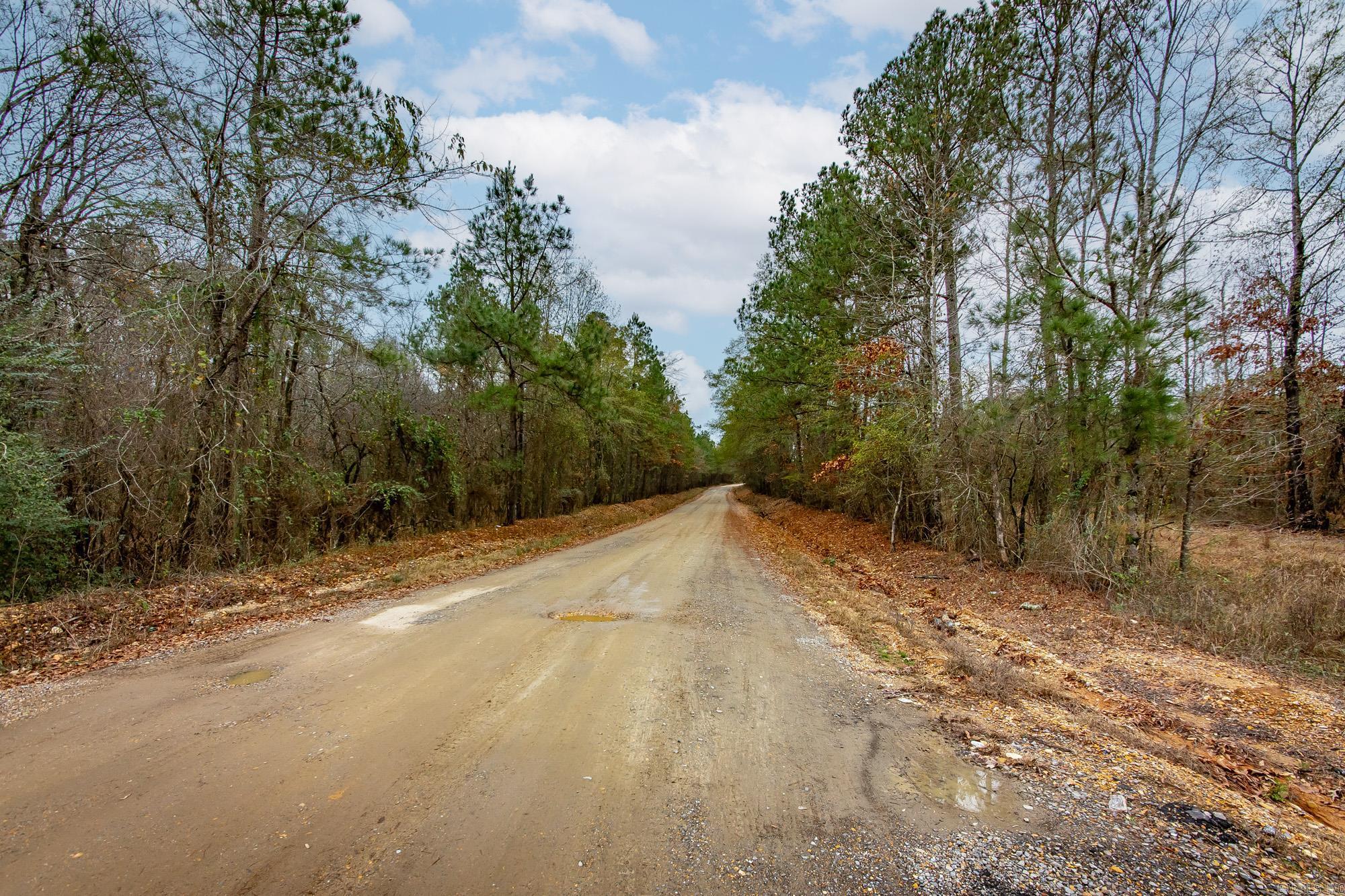  Hwy 24 East, 76 acres  Prescott, AR