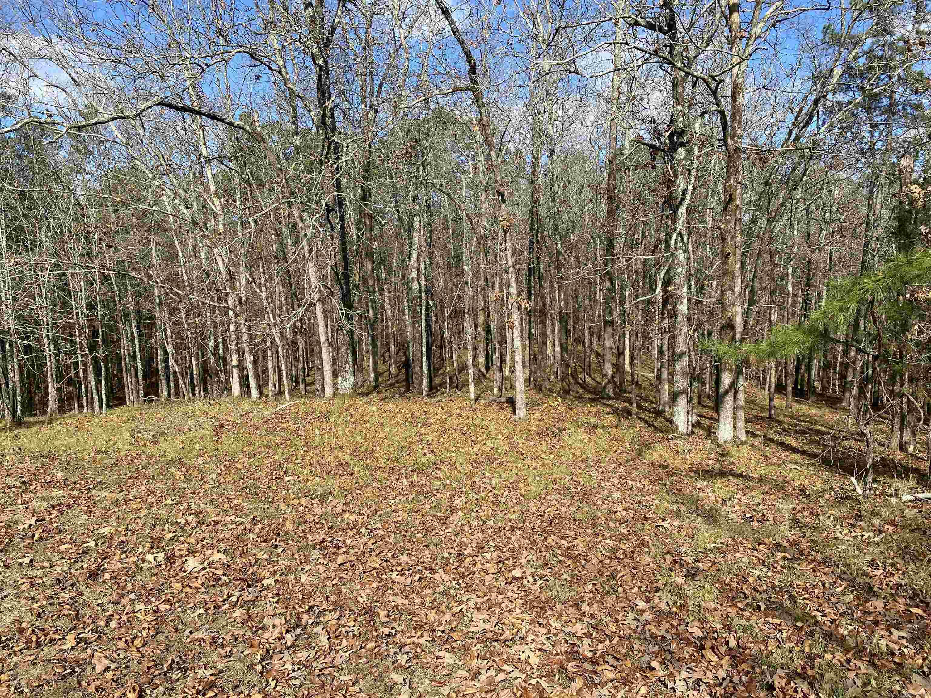 xxx Glenwood  Hot Springs, AR