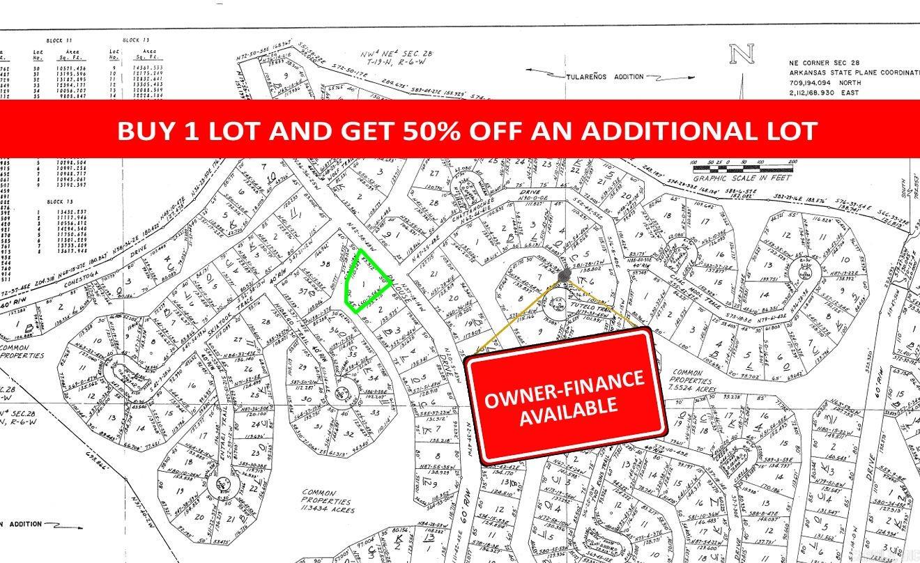 Lot 1 Skiatook  Cherokee Village, AR