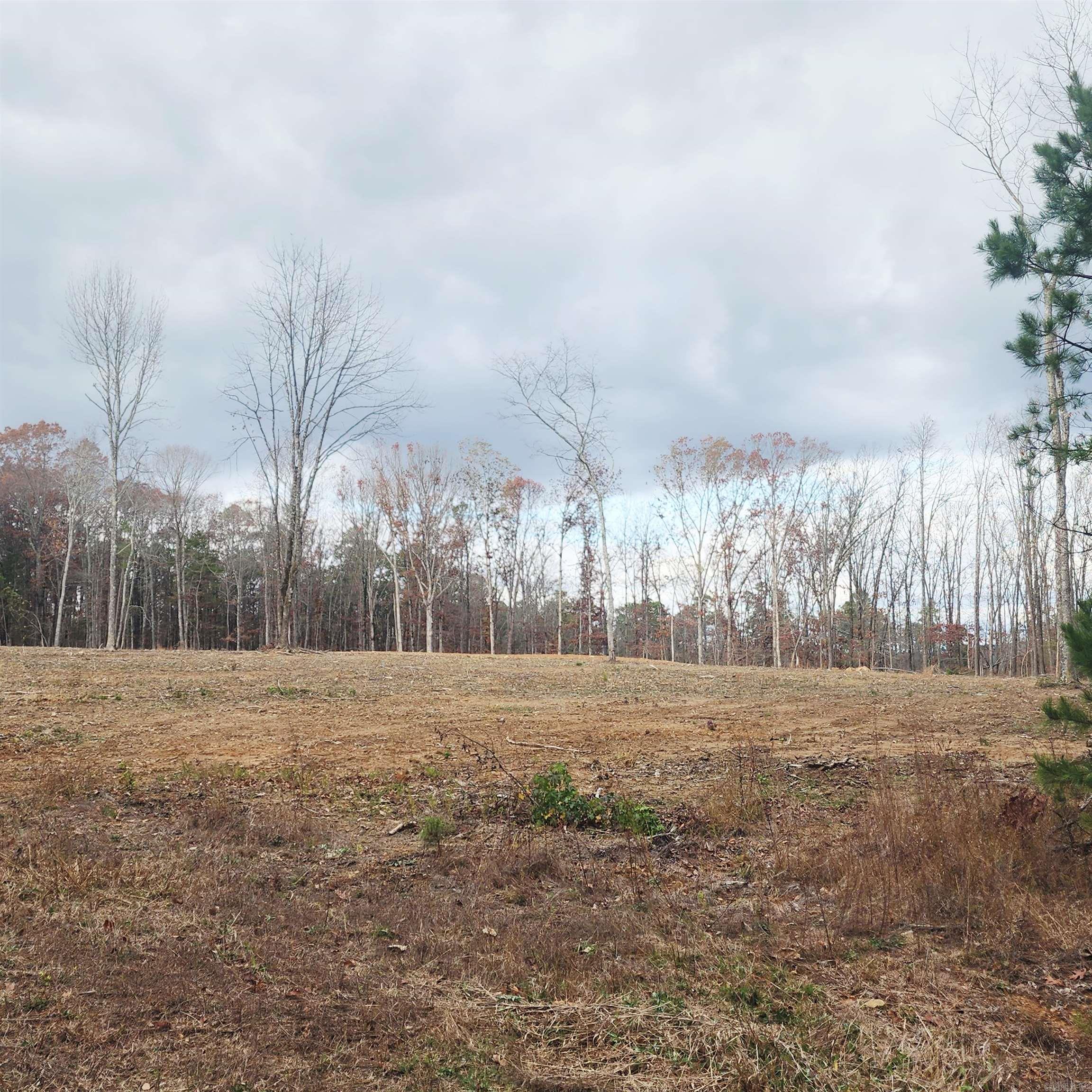 0 The Bluffs  Edgemont, AR