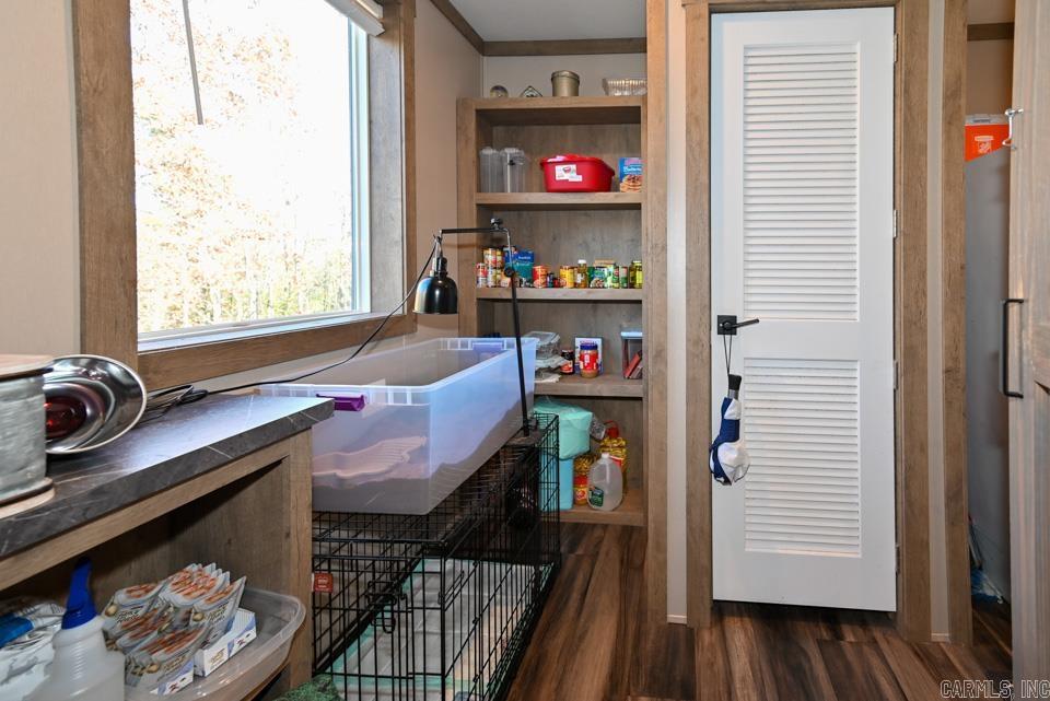 36 Wildlife  Mount Ida, AR