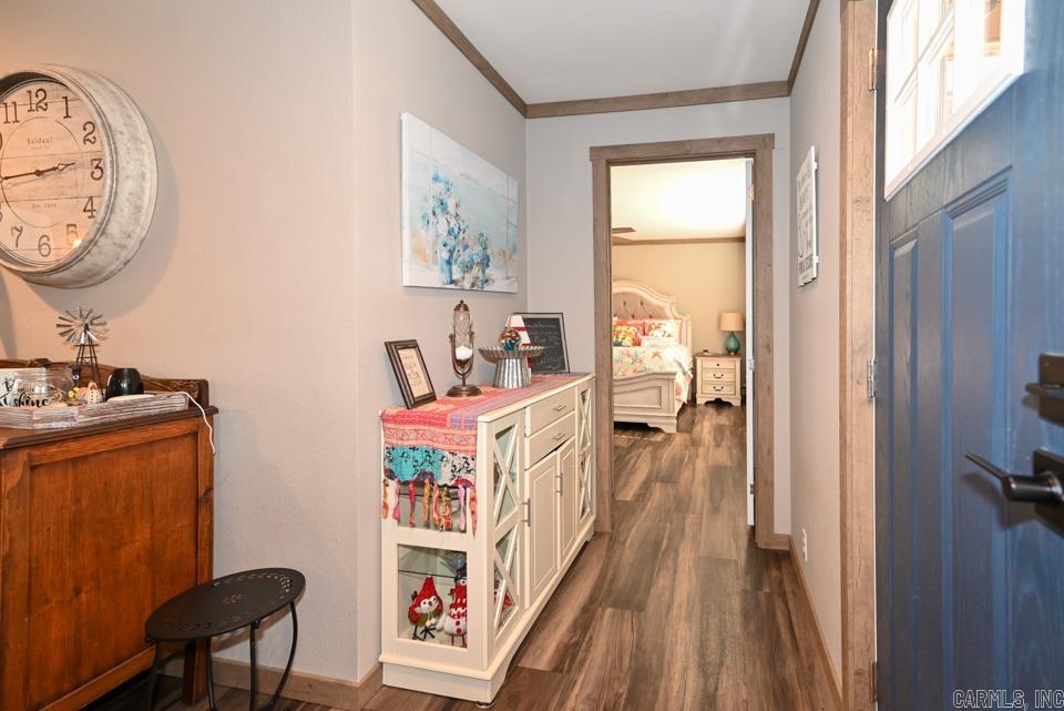 36 Wildlife  Mount Ida, AR