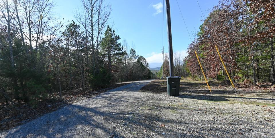 36 Wildlife  Mount Ida, AR