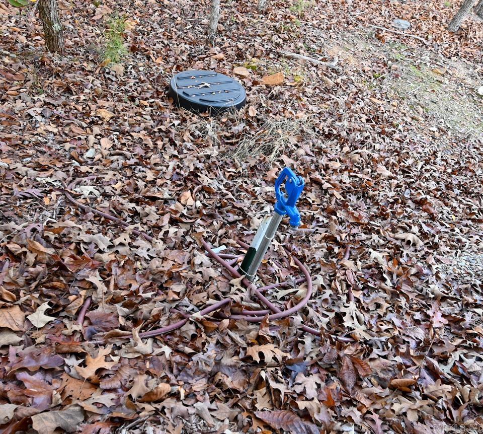 36 Wildlife  Mount Ida, AR