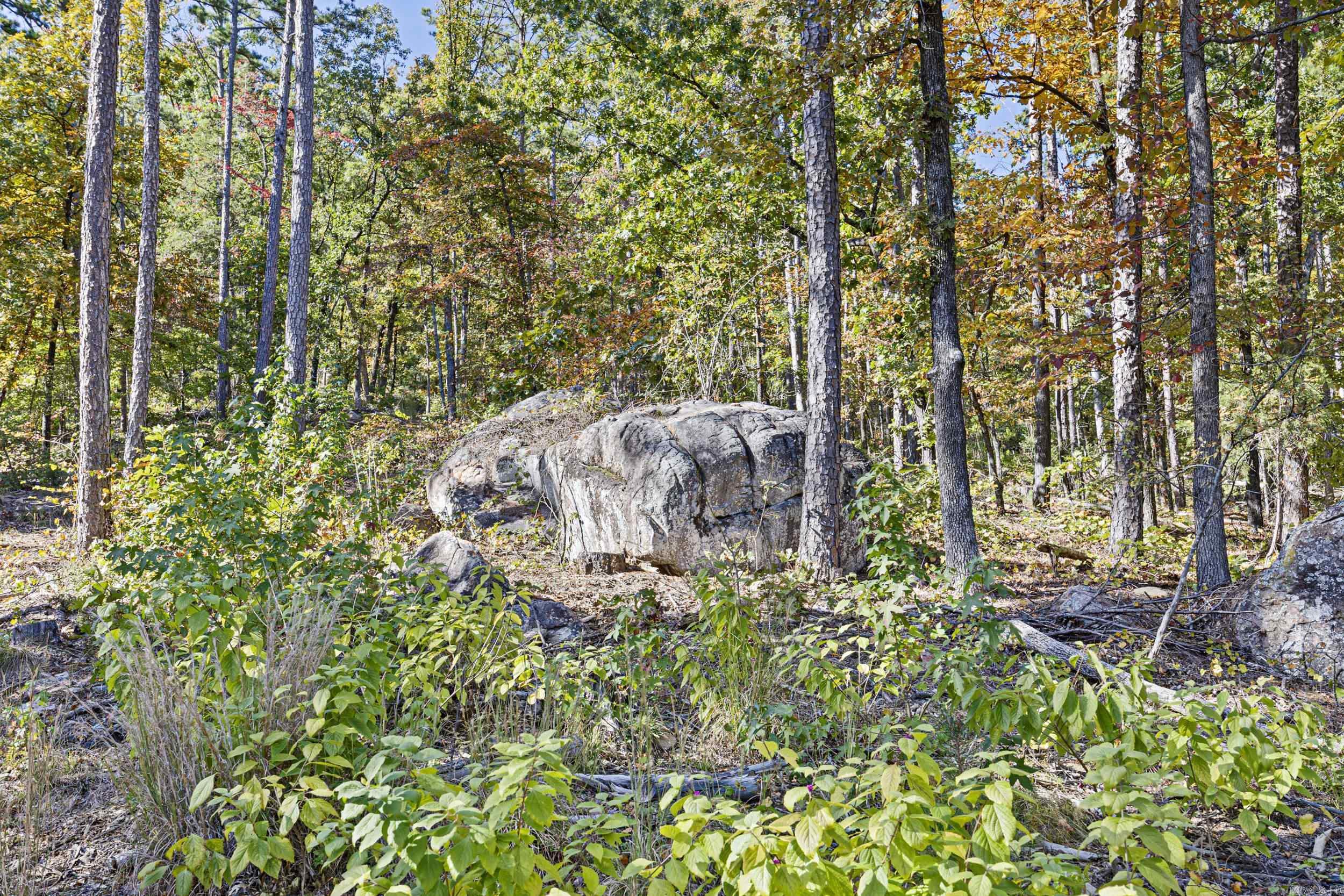  AR 155  Dardanelle, AR