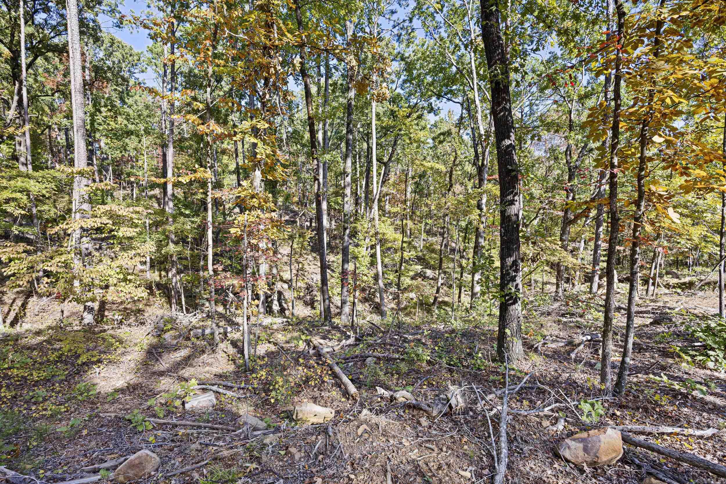  AR 155  Dardanelle, AR