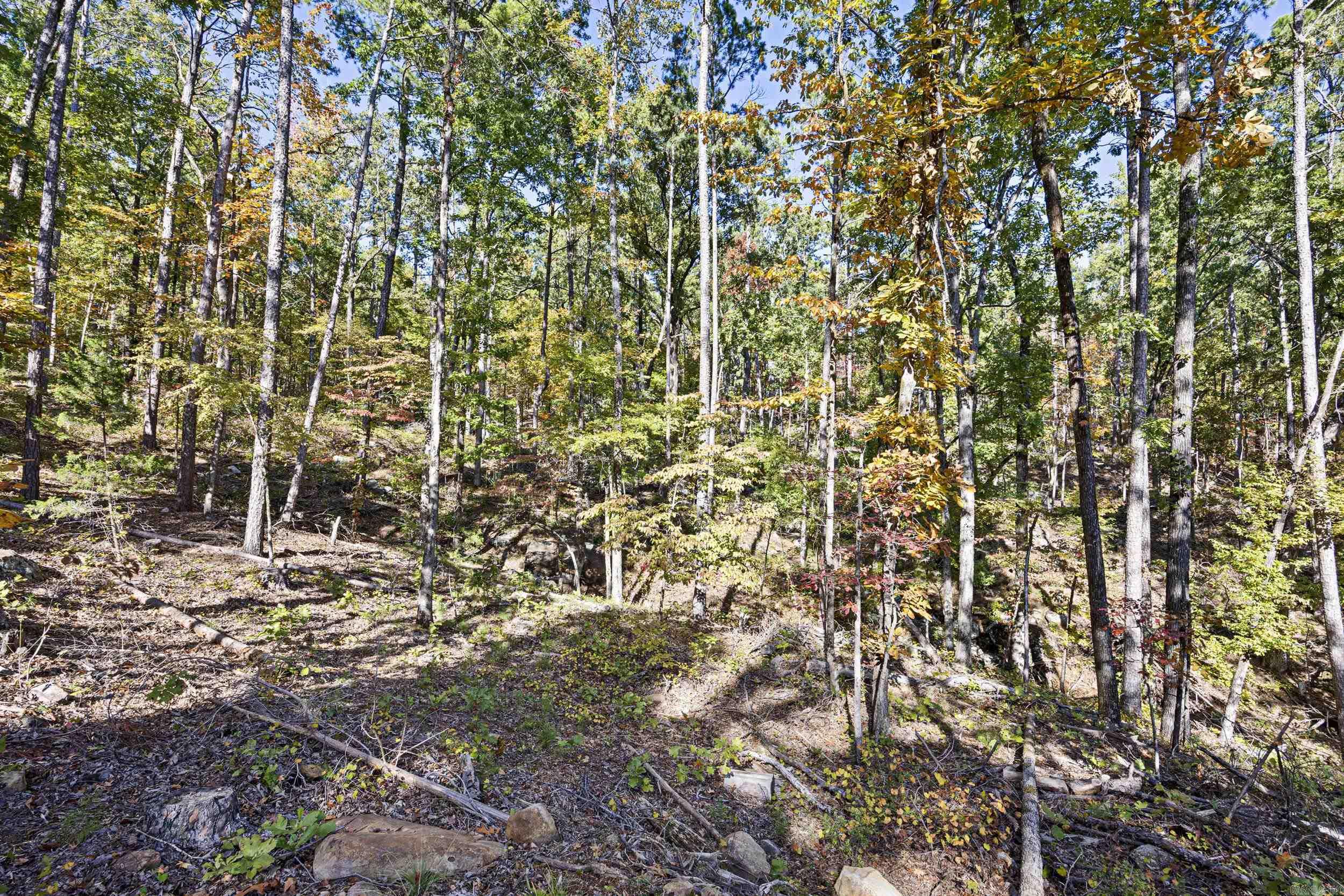  AR 155  Dardanelle, AR