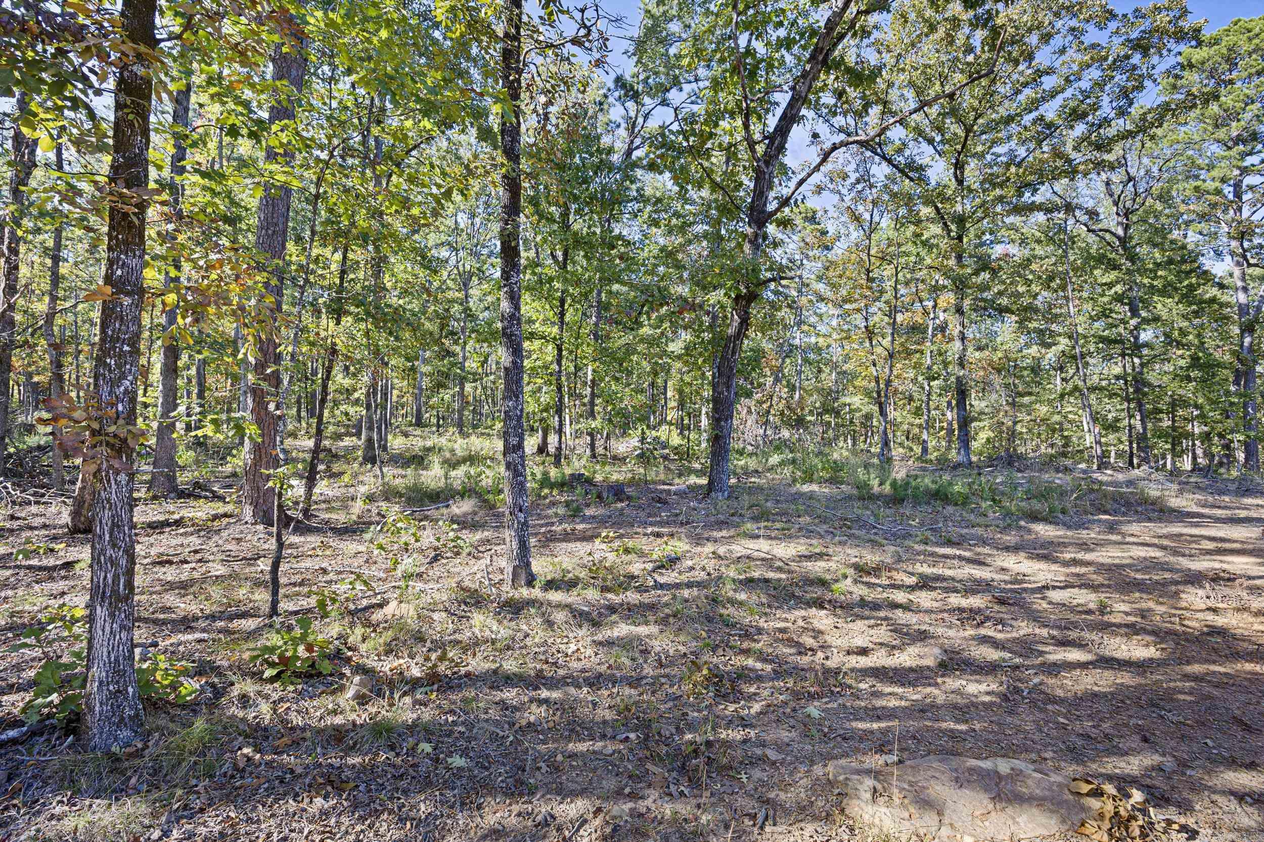  AR 155  Dardanelle, AR