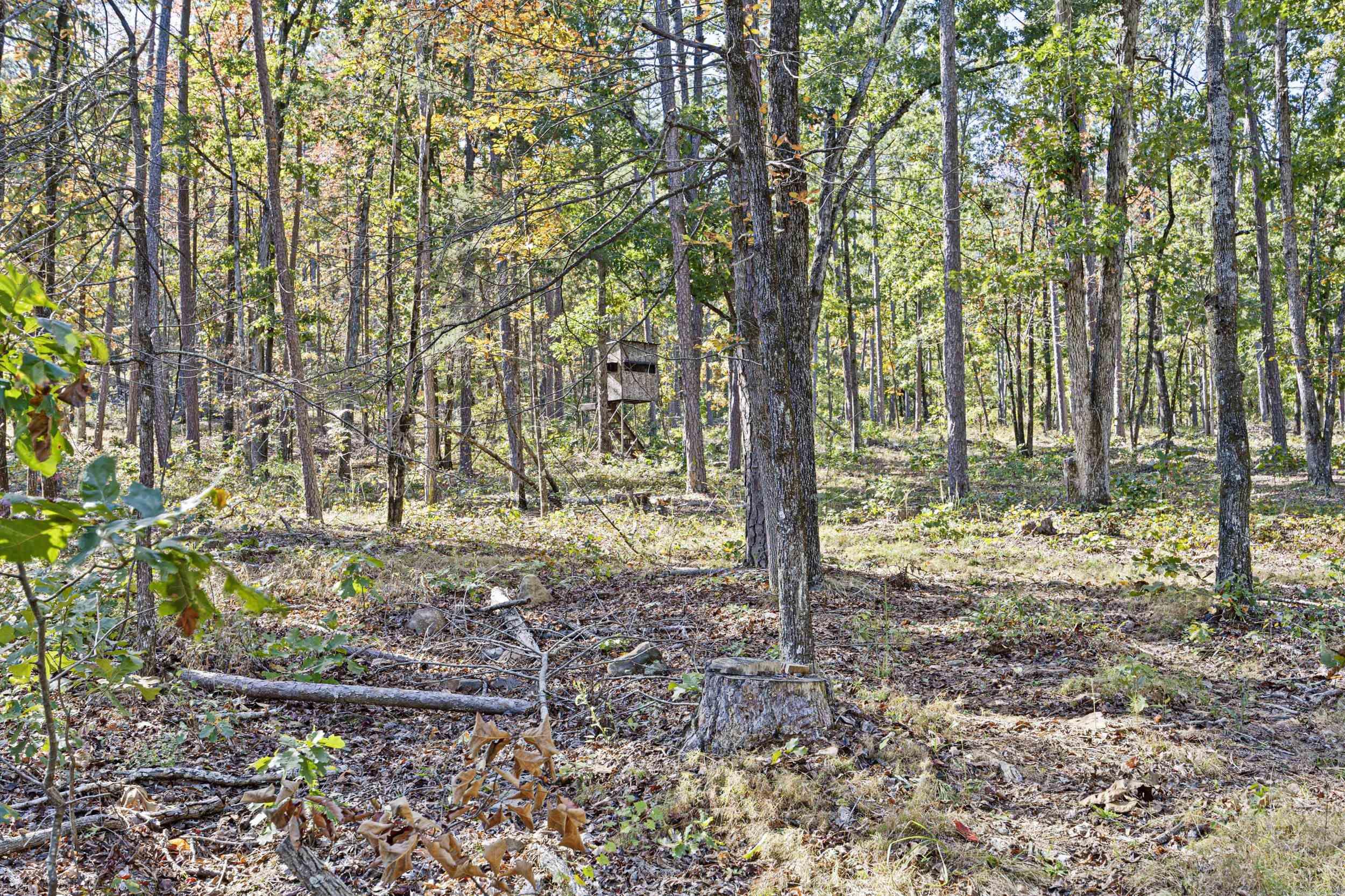  AR 155  Dardanelle, AR