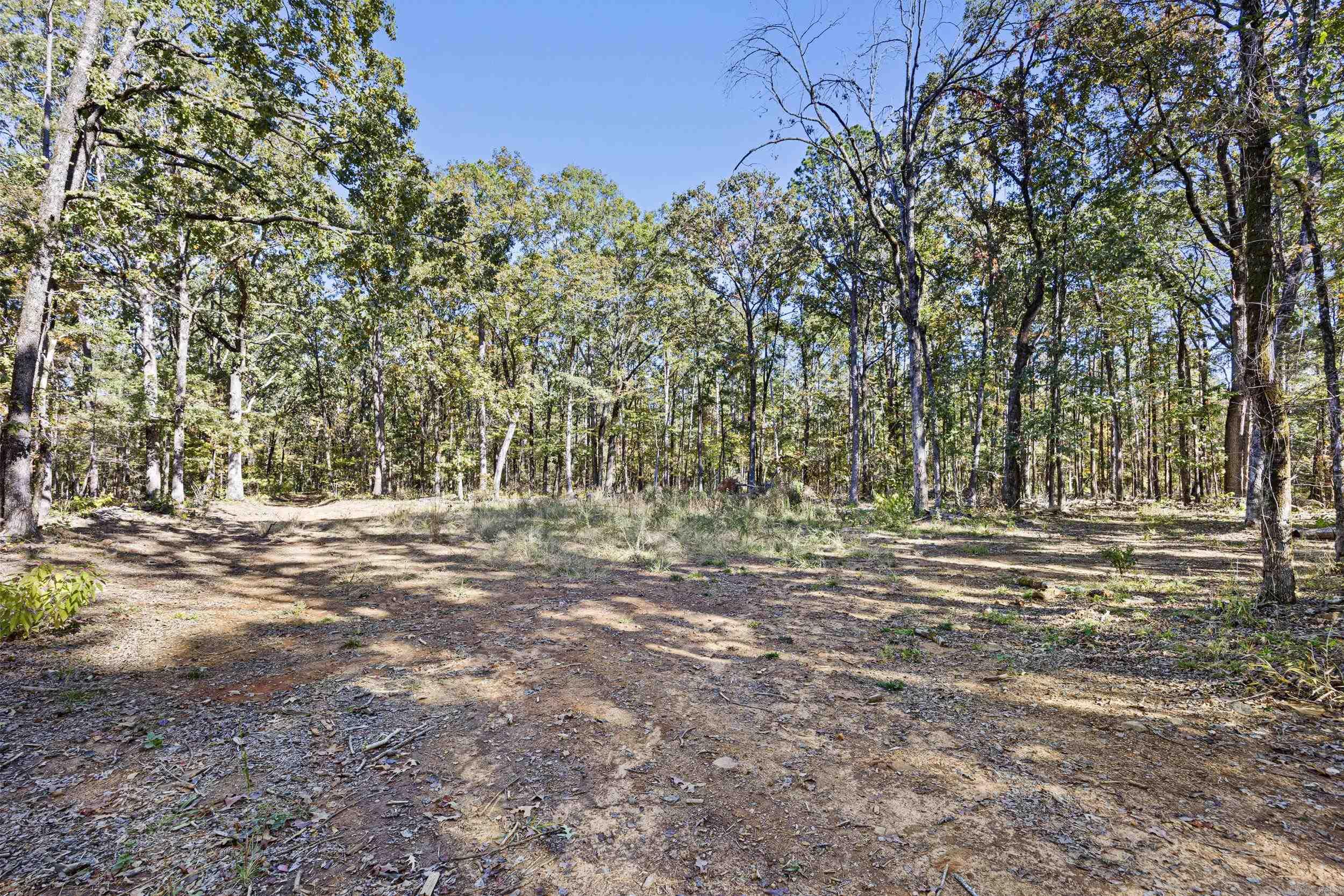  AR 155  Dardanelle, AR