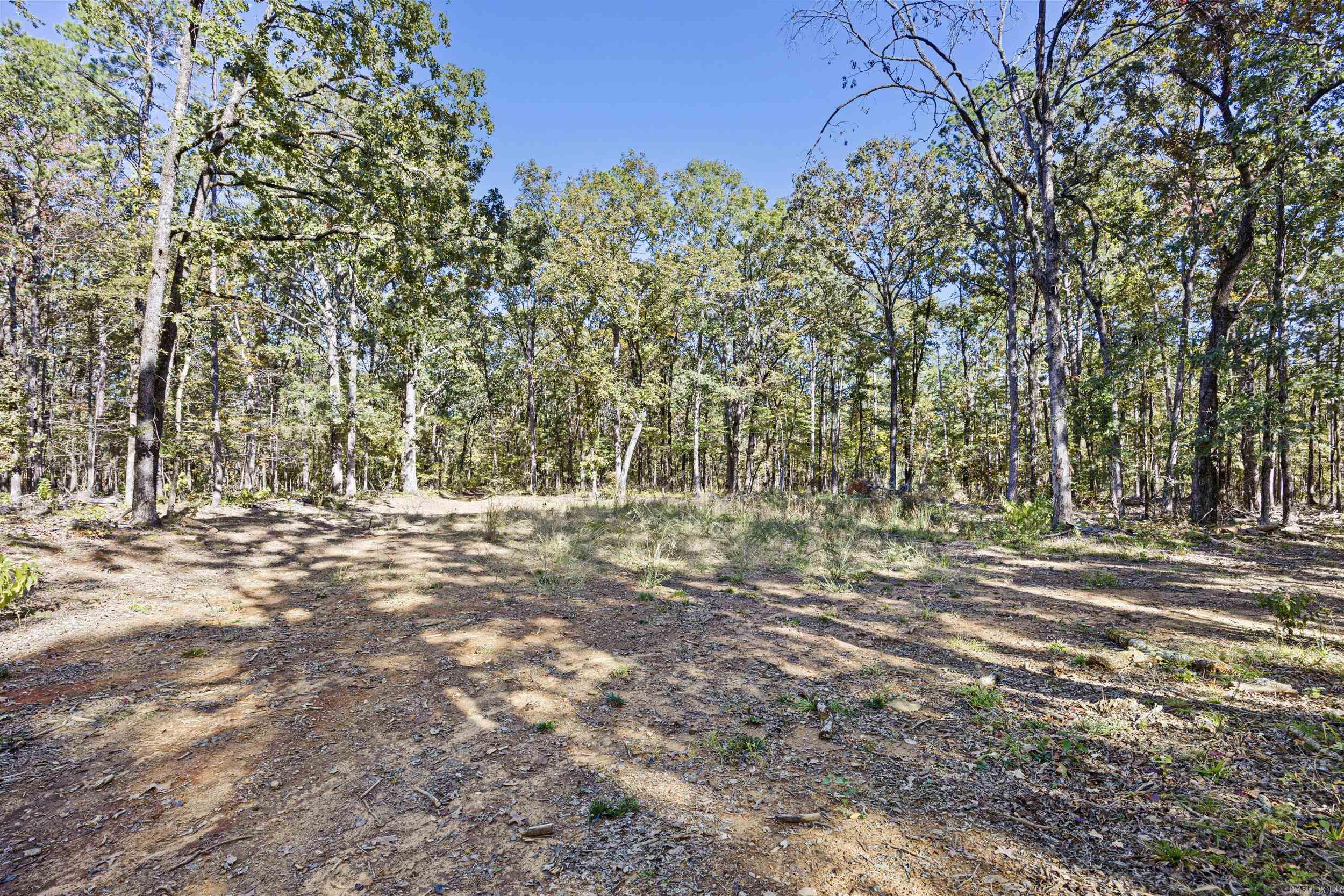  AR 155  Dardanelle, AR