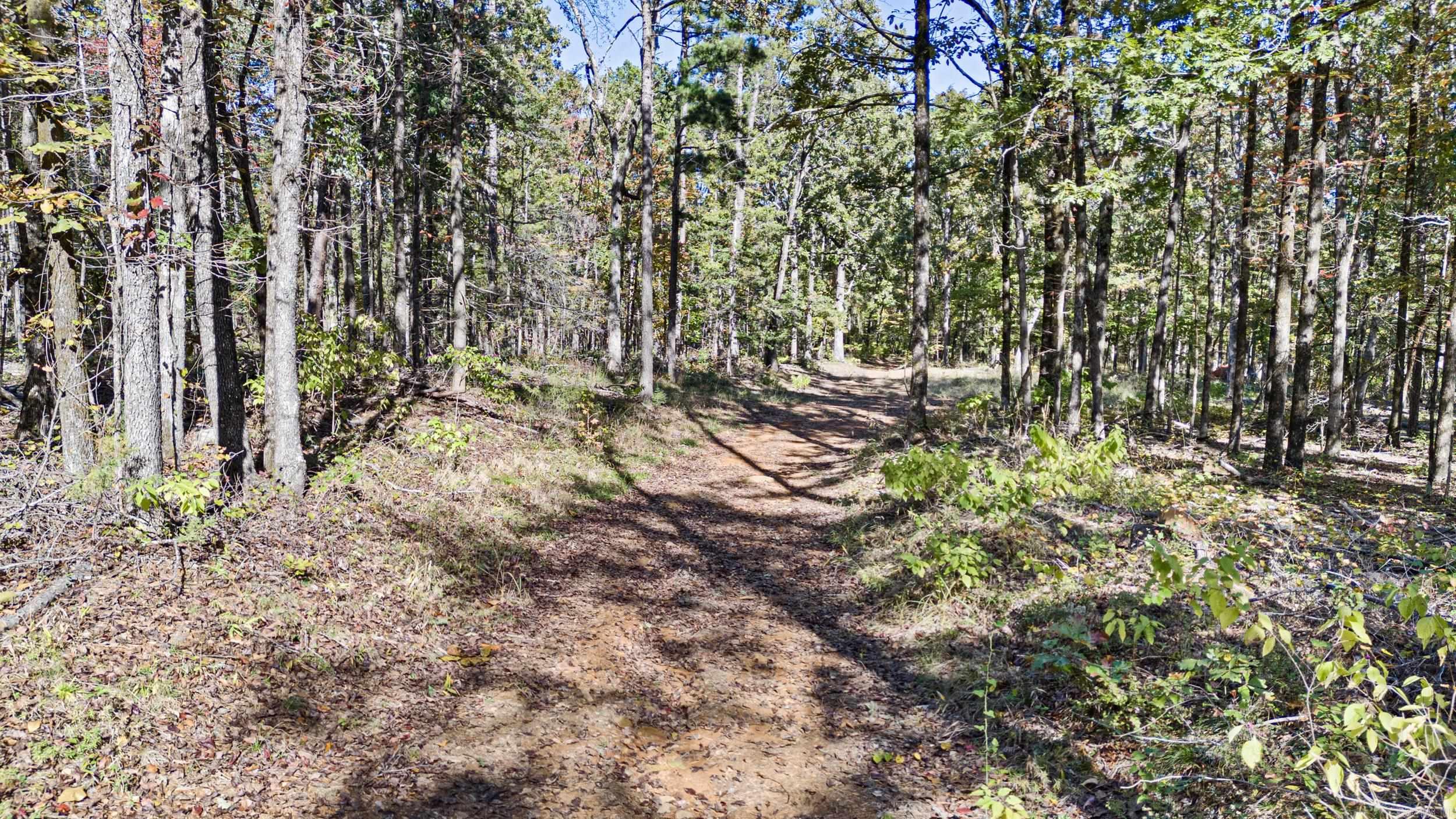  AR 155  Dardanelle, AR